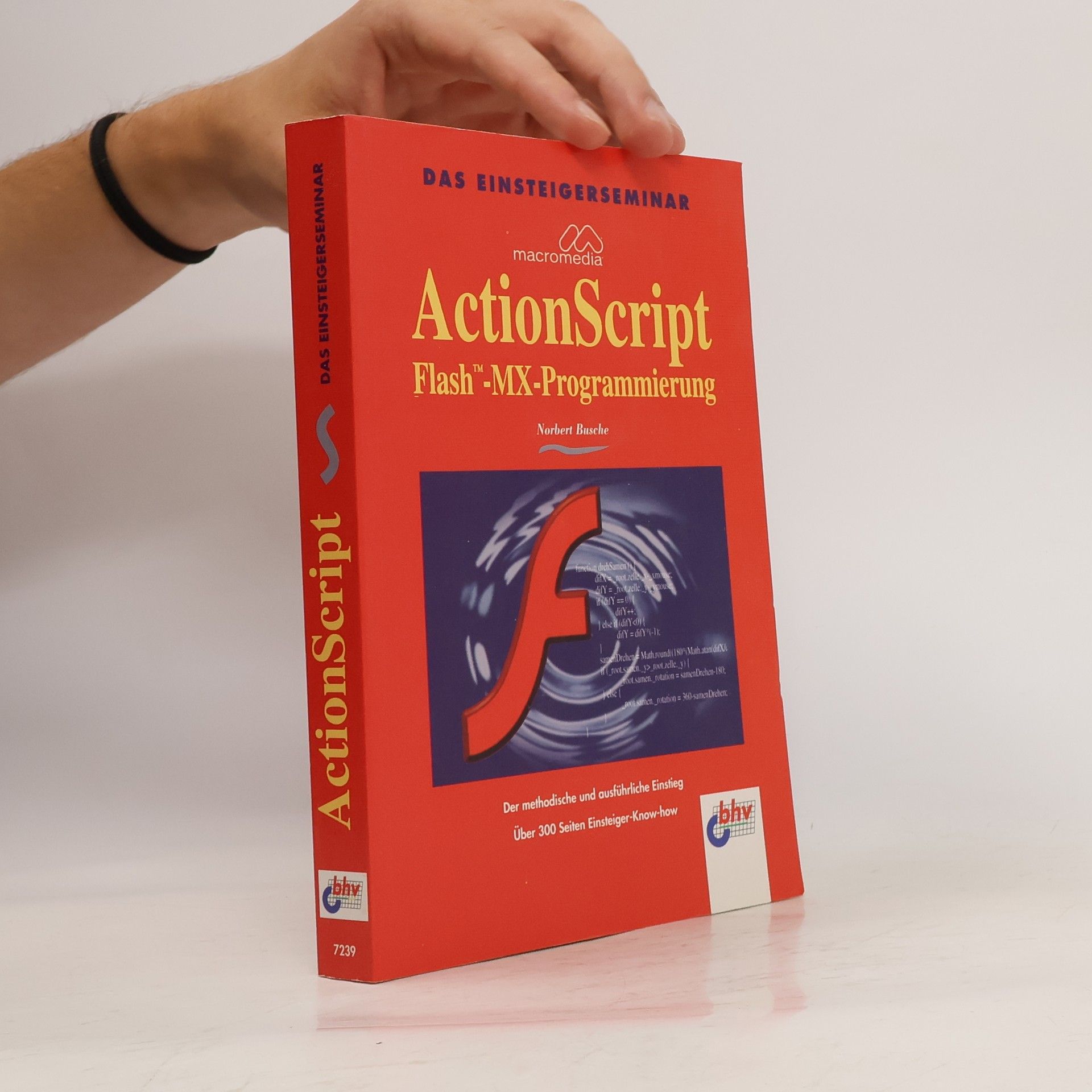 Norbert Busche Das Einsteigerseminar ActionScript