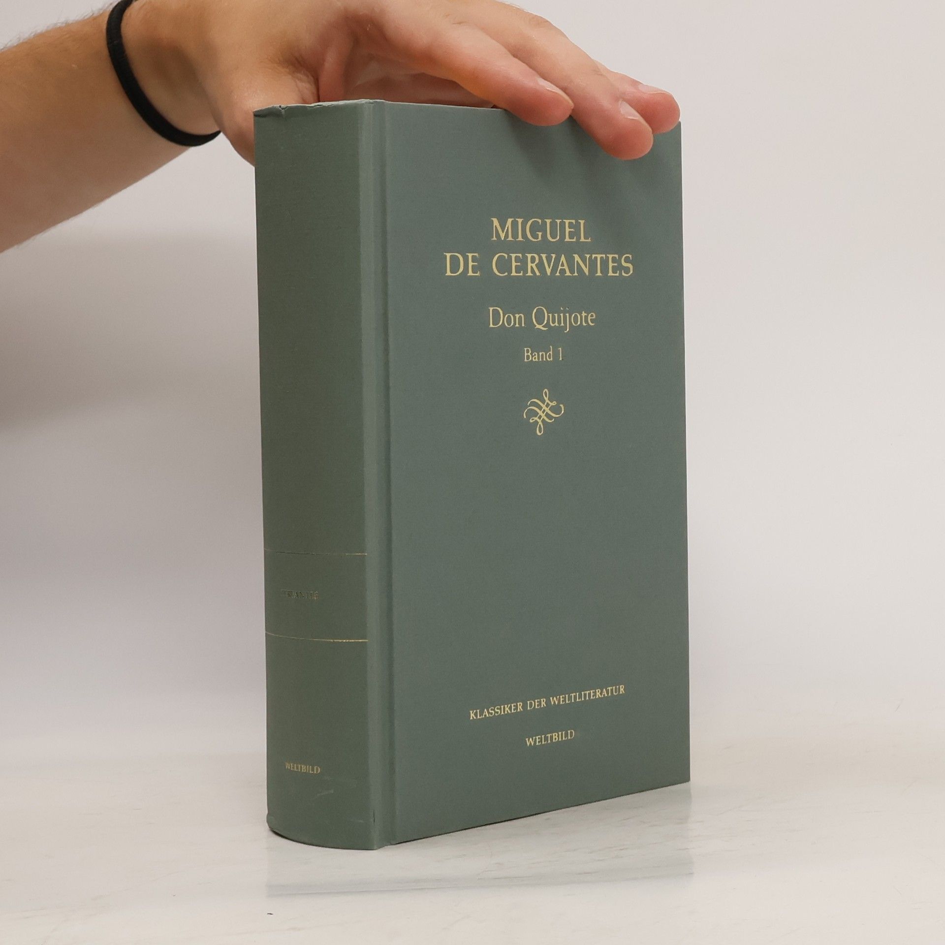 Miguel de Cervantes Saavedra Don Quijote 2