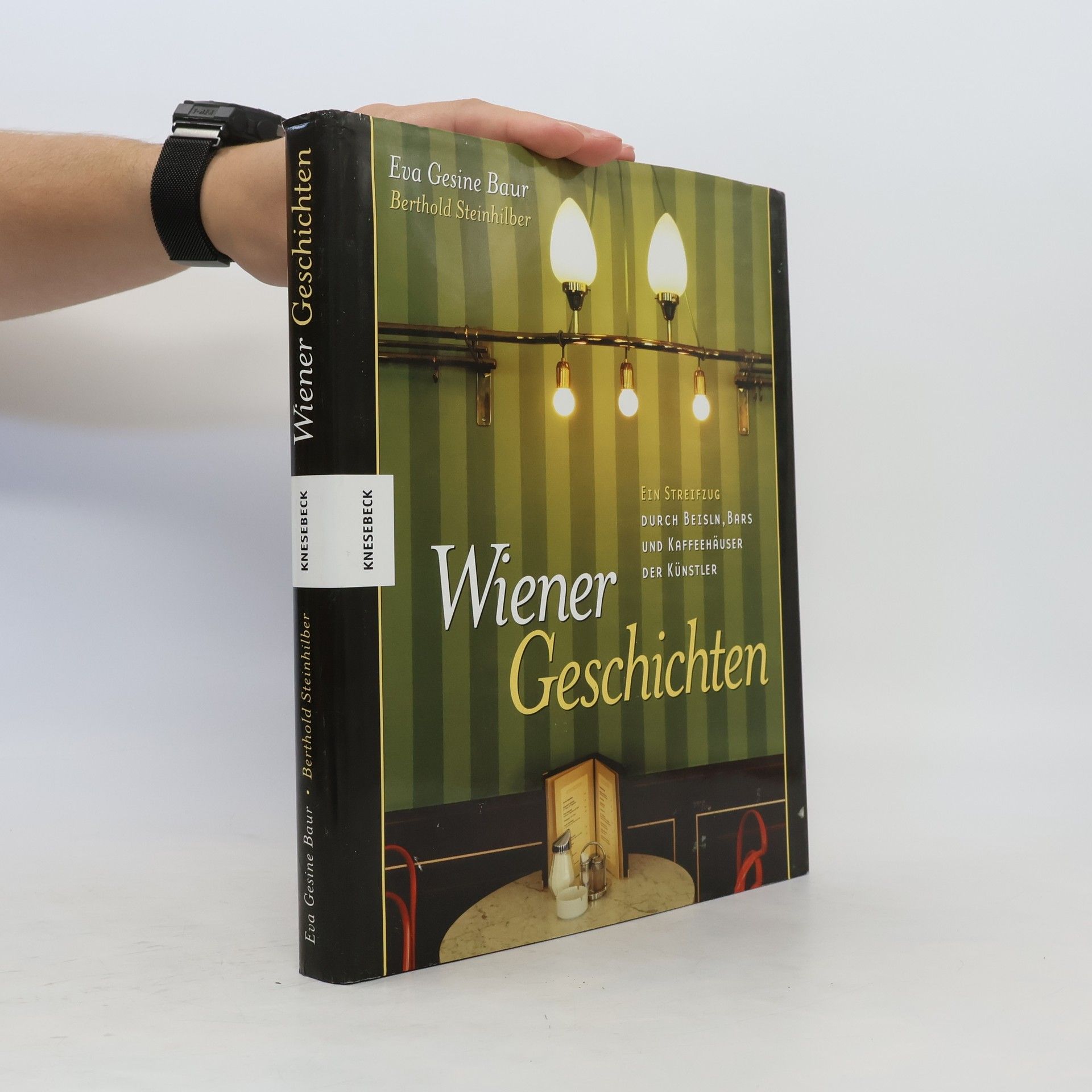 Eva G Baur Wiener Geschichten - ein Streifzug durch Beisln, Bars und Kaffeehäuser der Künstler. Ein Streifzug durch Beisln, Bars und Kaffeehäuser der Künstler