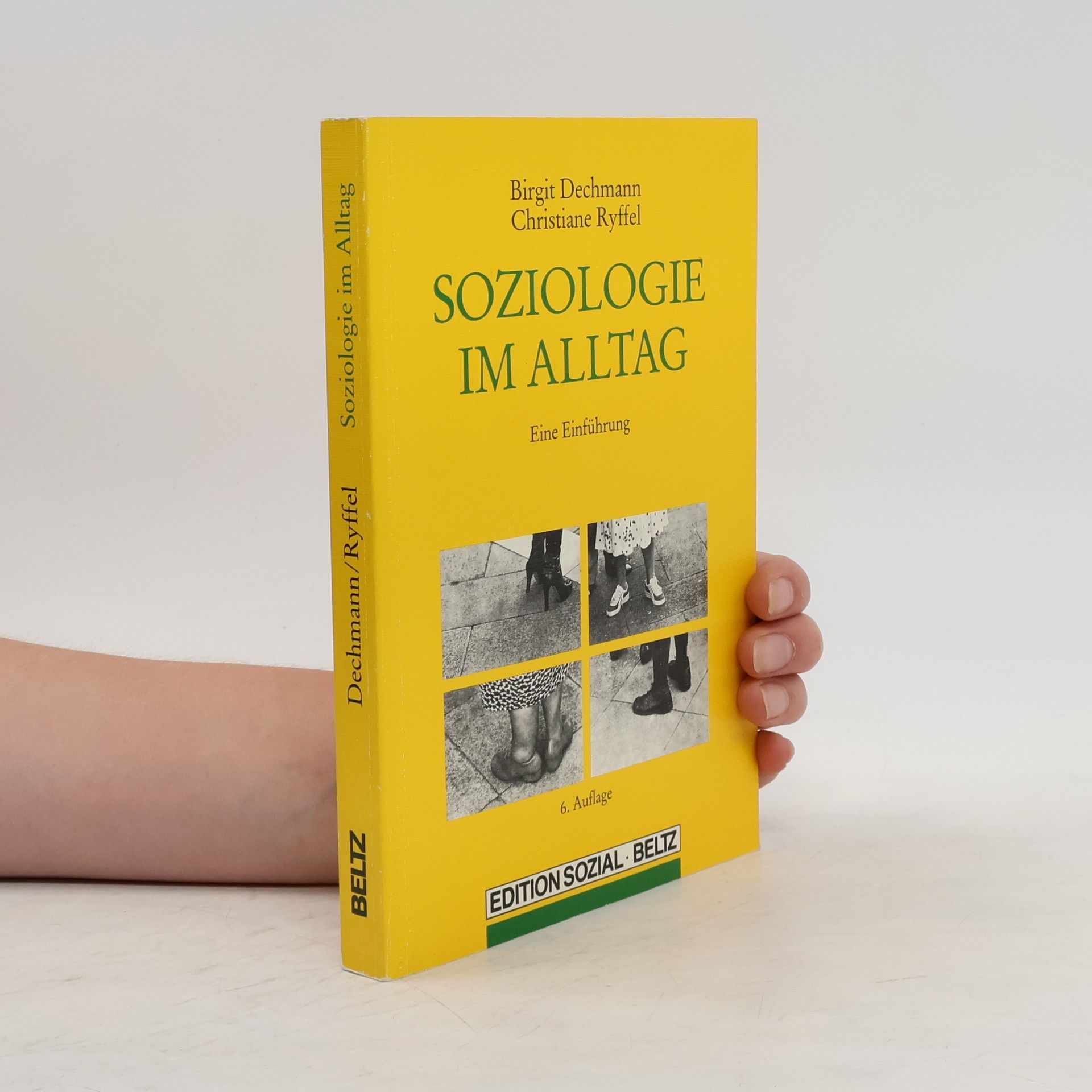 Birgit Dechmann Soziologie im Alltag