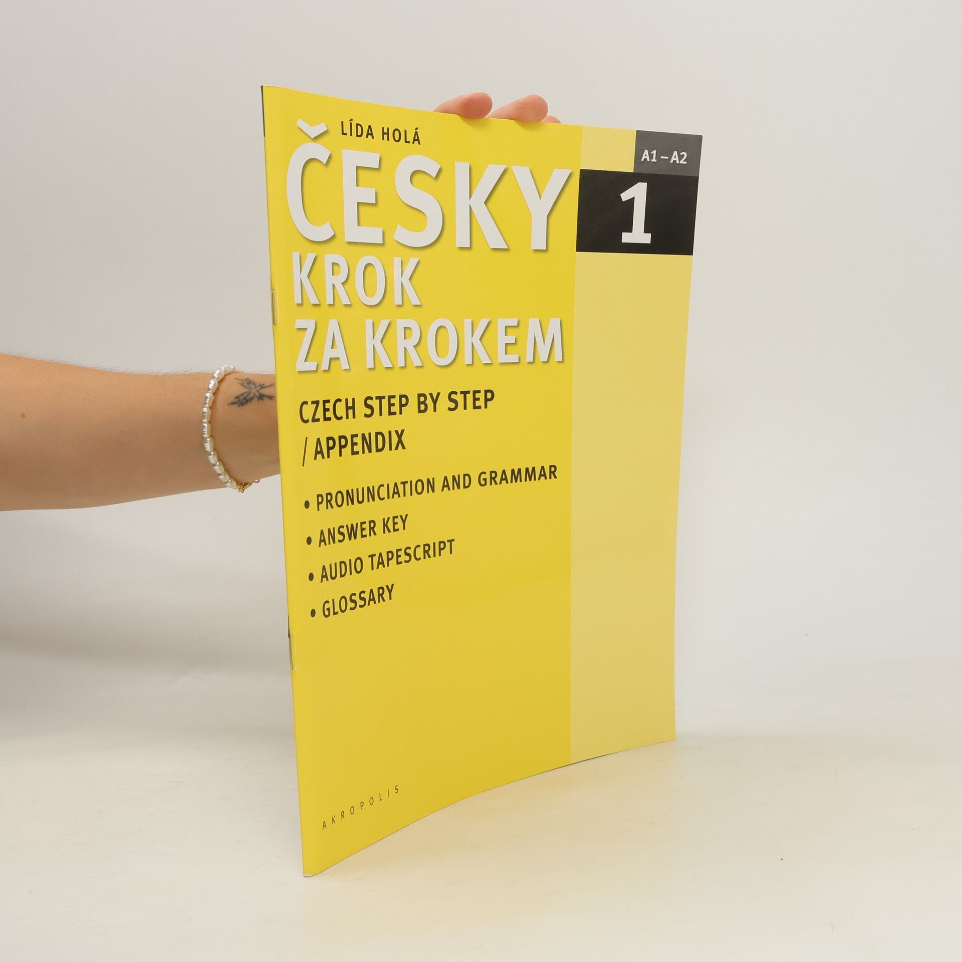 Lída Holá Česky krok za krokem 1. A1-A2 příloha