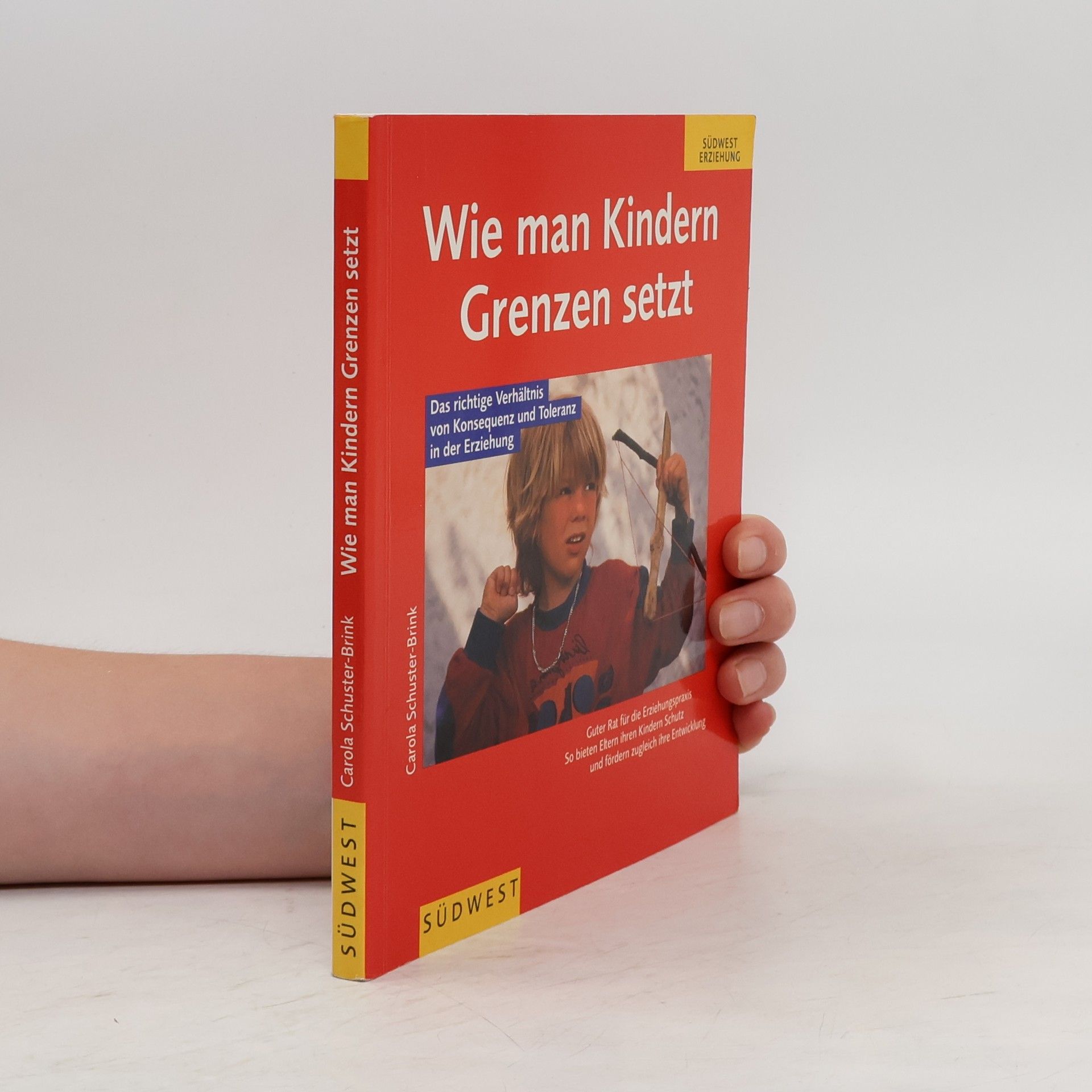 Carola Schuster-Brink Wie man Kindern Grenzen setzt
