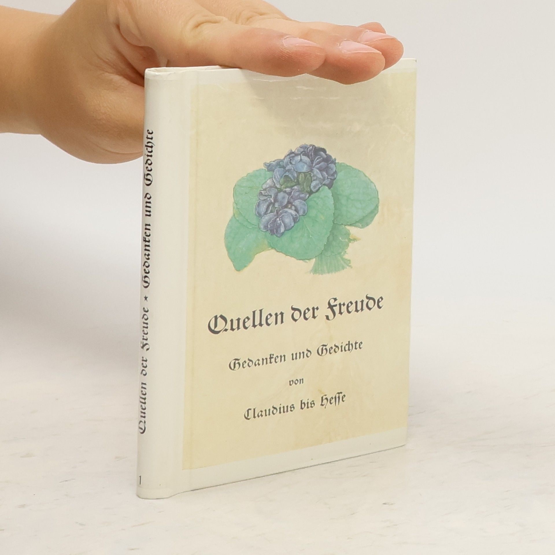 kolektiv Quellen der Freude