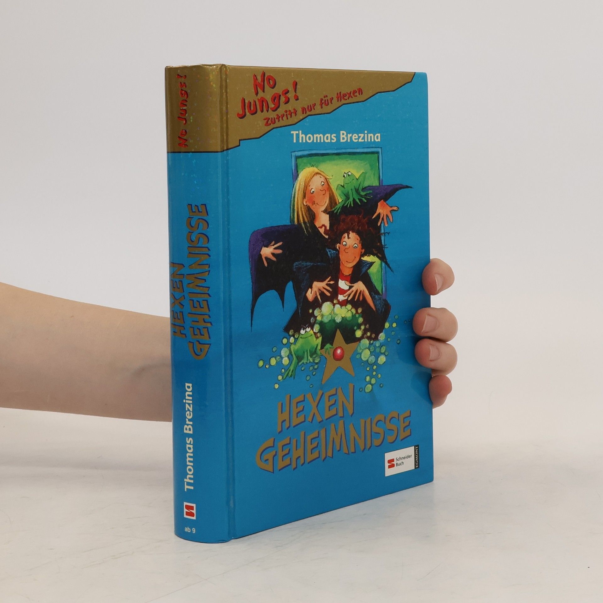 Thomas C. Brezina No Jungs! - Hexengeheimnisse