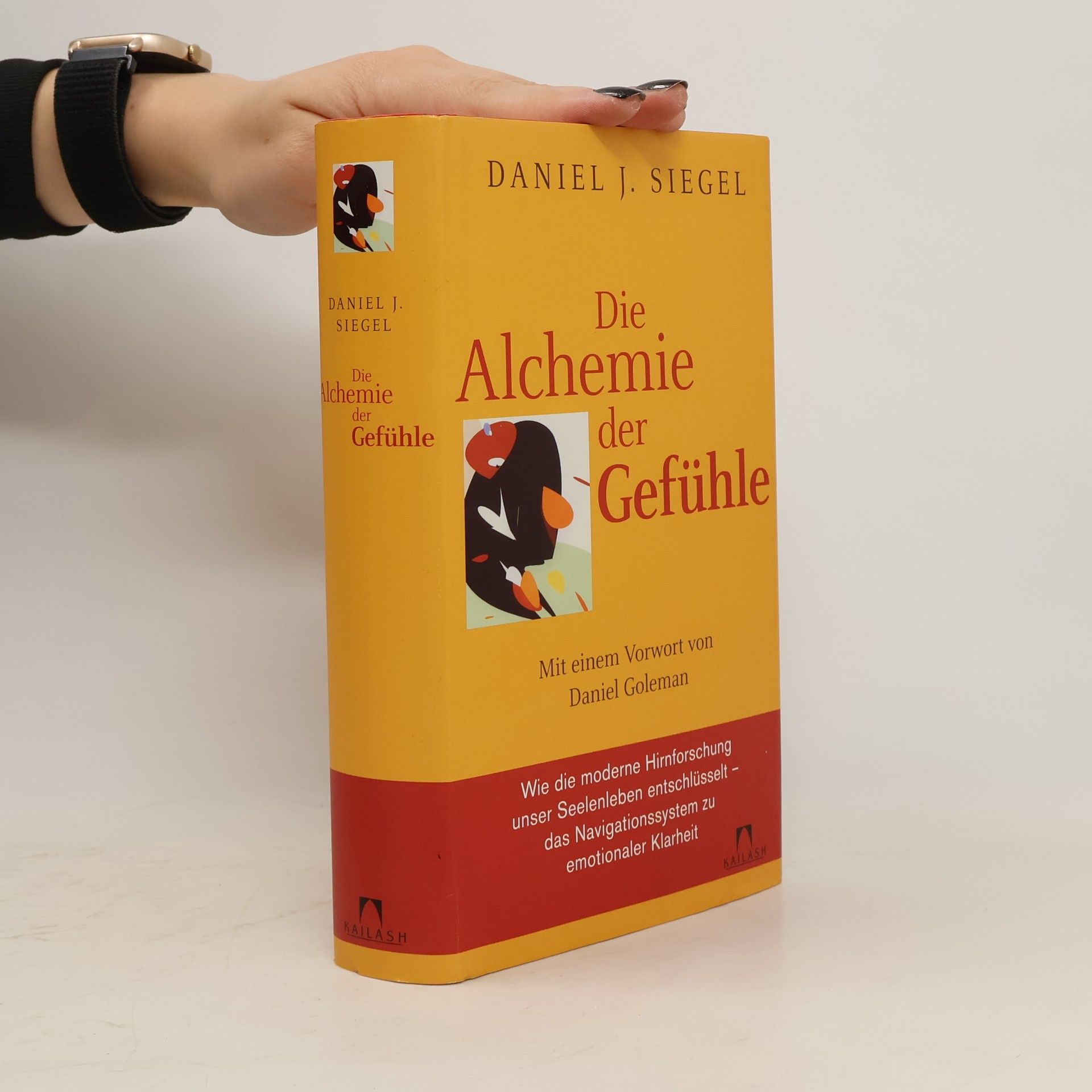 Daniel Siegel Die Alchemie der Gefühle