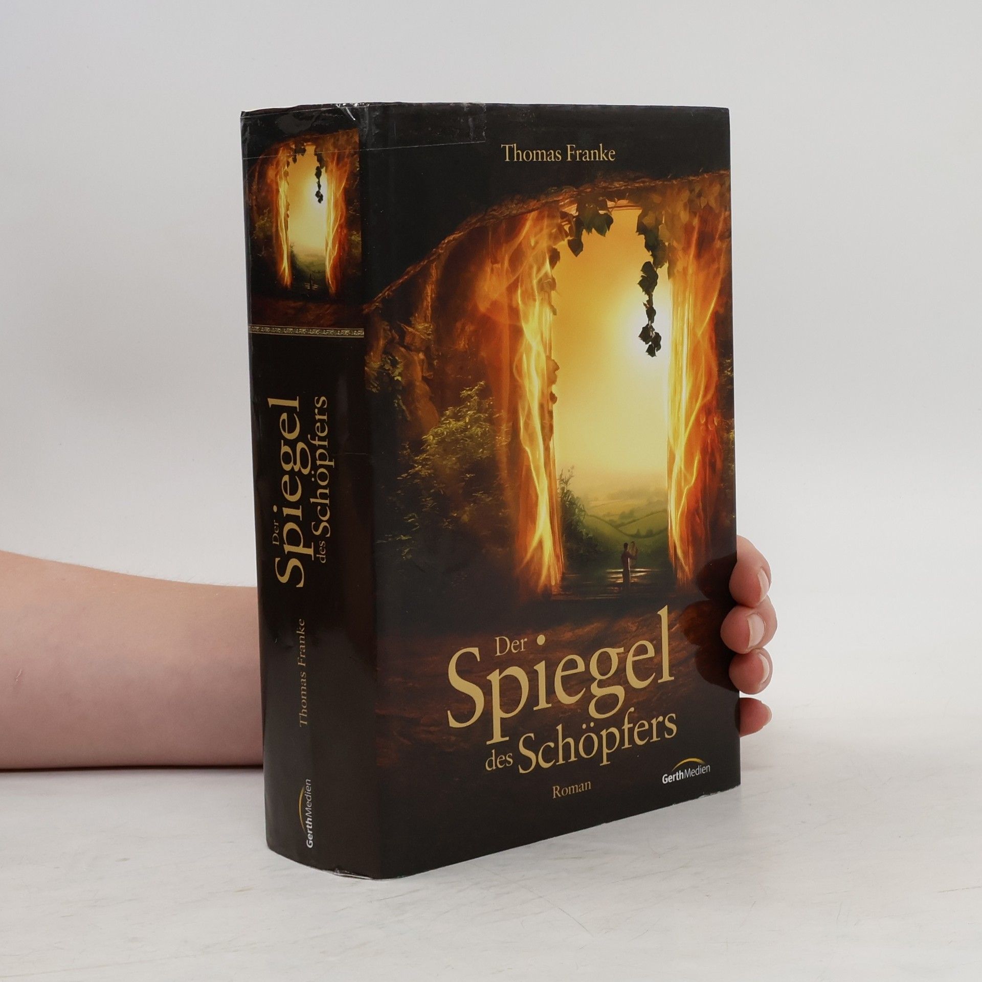 Thomas Franke Der Spiegel des Schöpfers