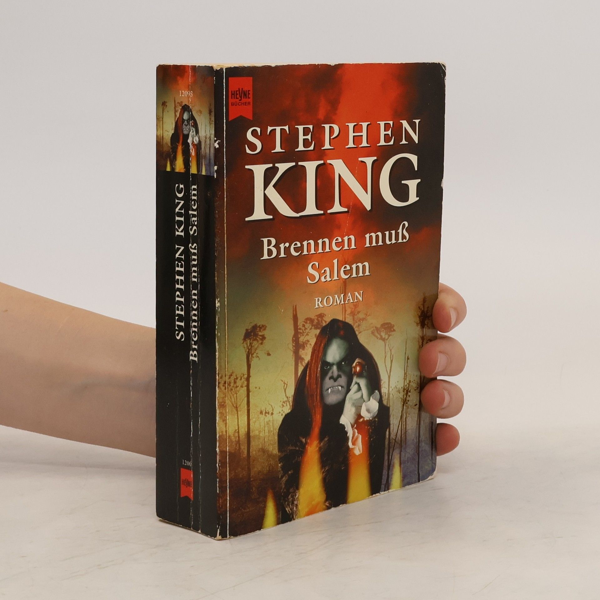 Stephen King Brennen muß Salem.