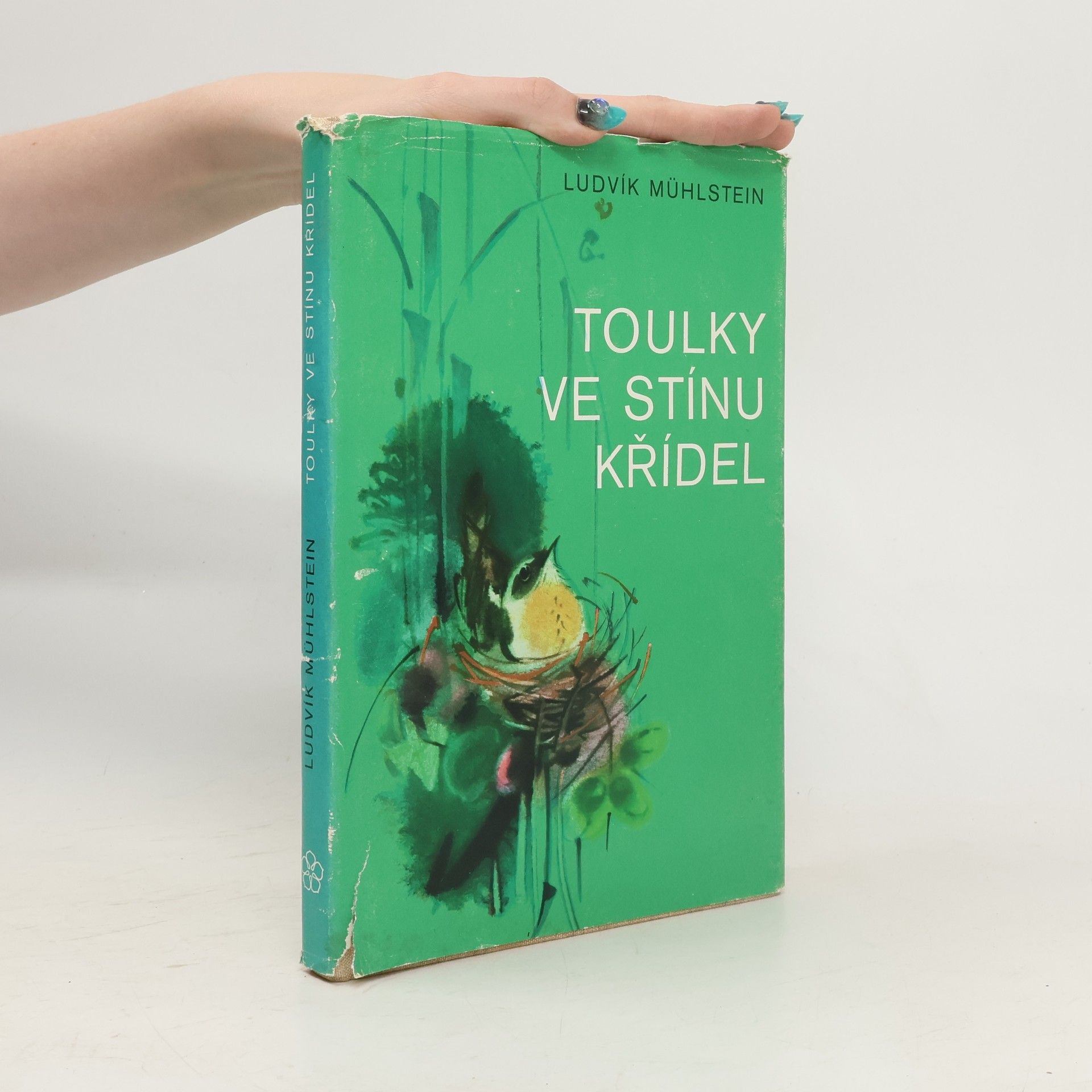 Ludvík Mühlstein Toulky ve stínu křídel