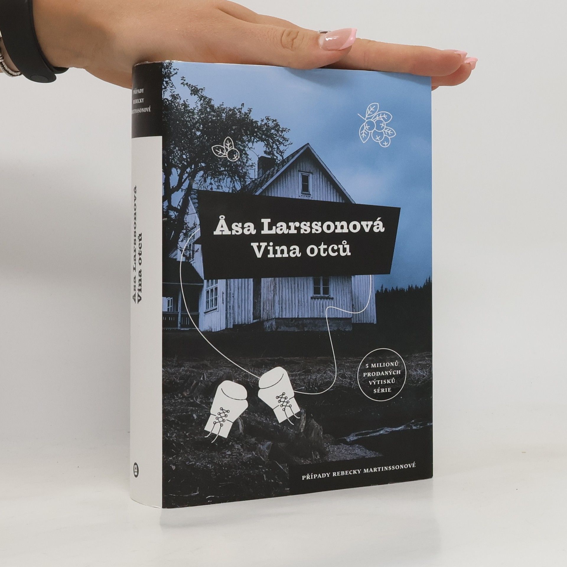 Åsa Larsson Vina otců