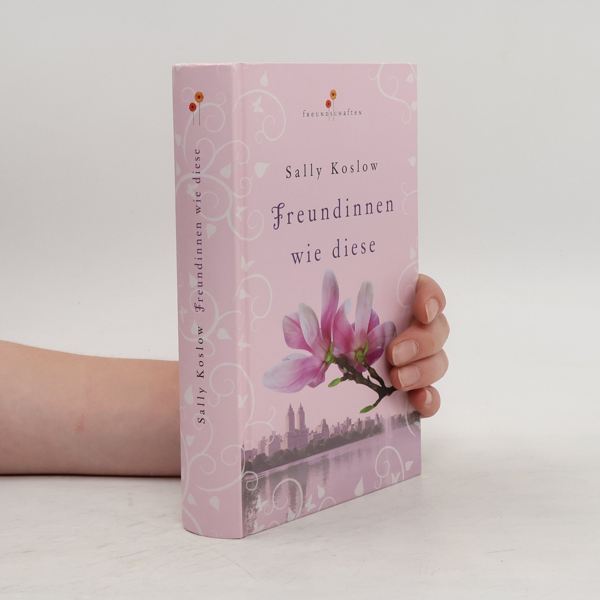 Sally Koslow Freundinnen wie diese