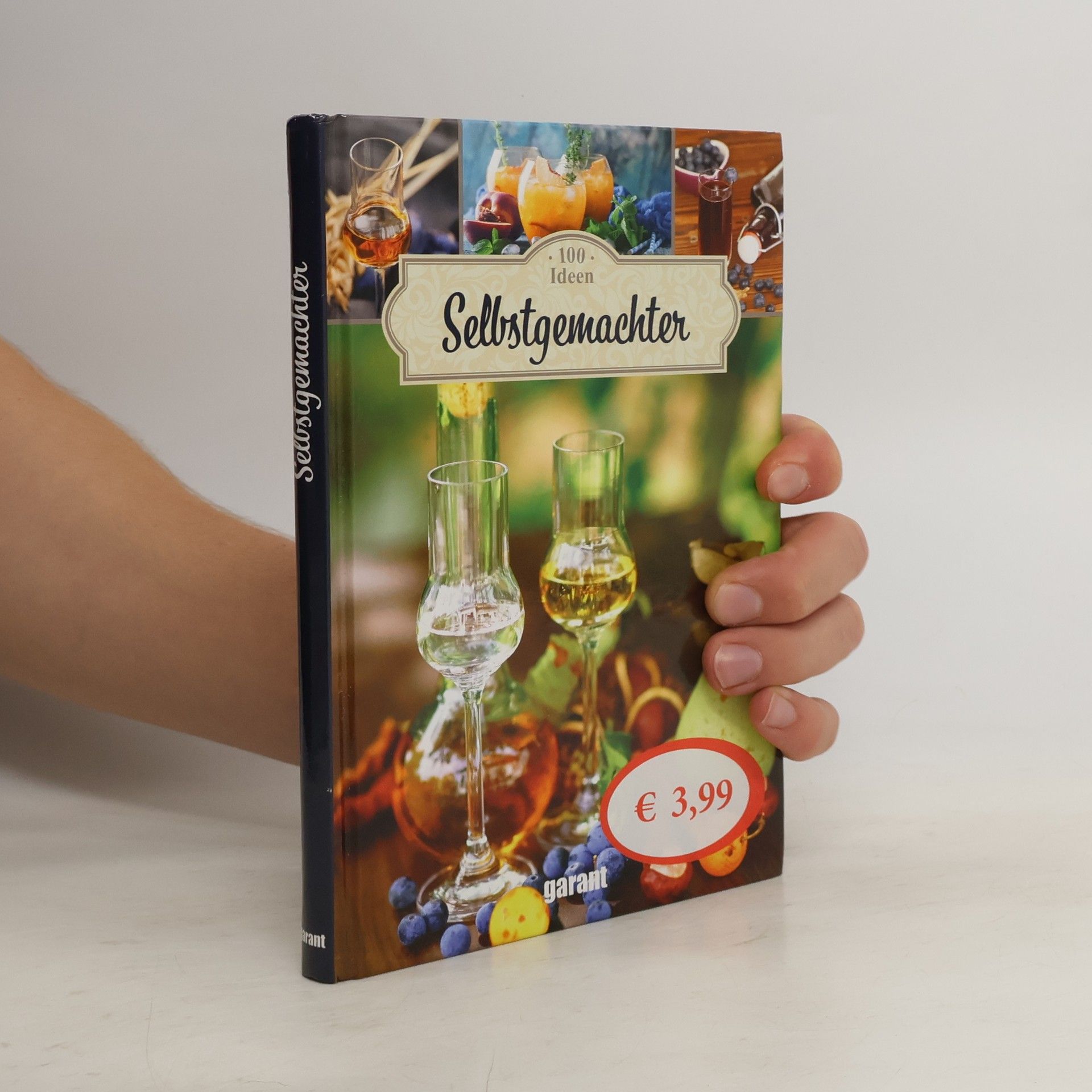 Collectif d'auteurs 100 Ideen Selbstgemachter