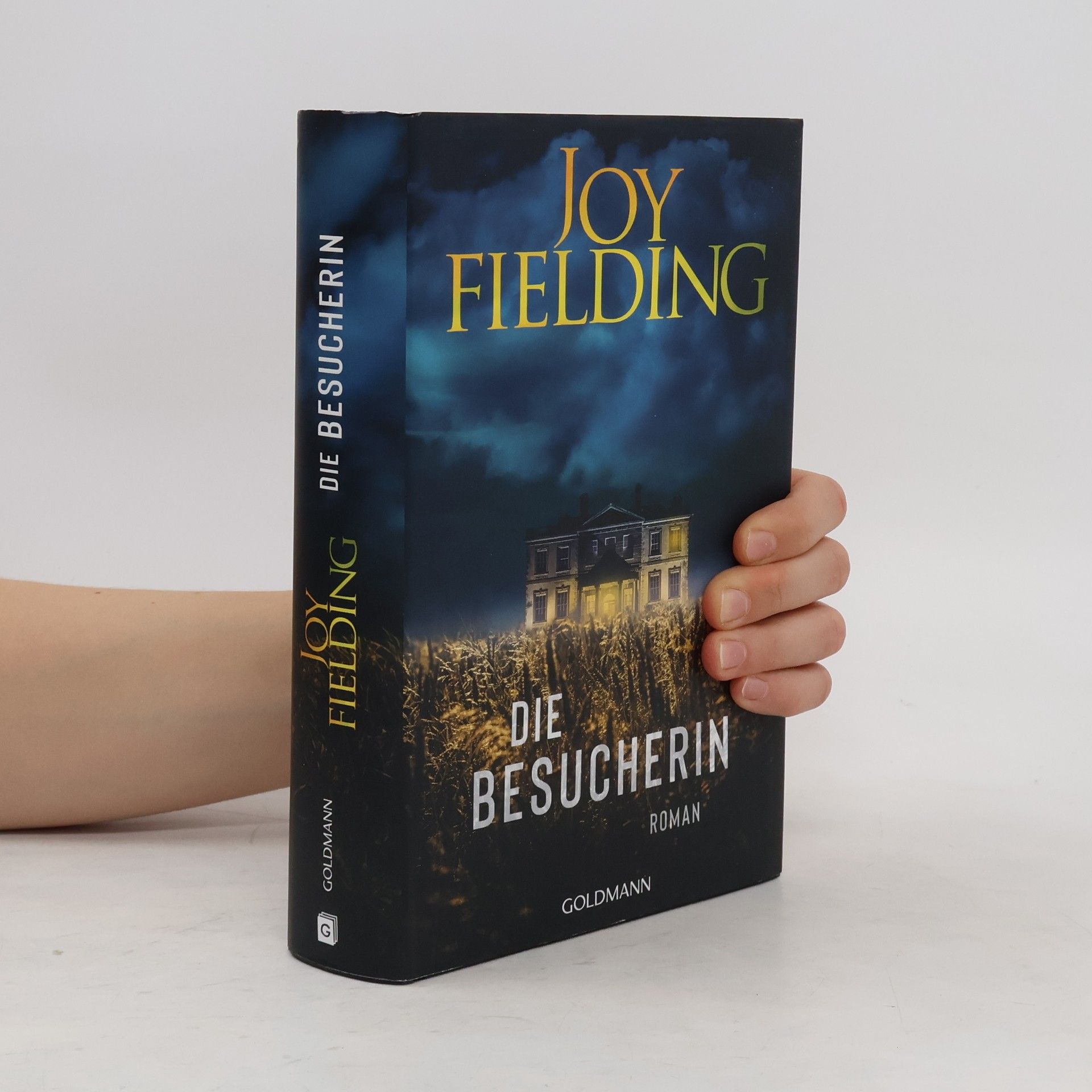 Joy Fielding Die Besucherin