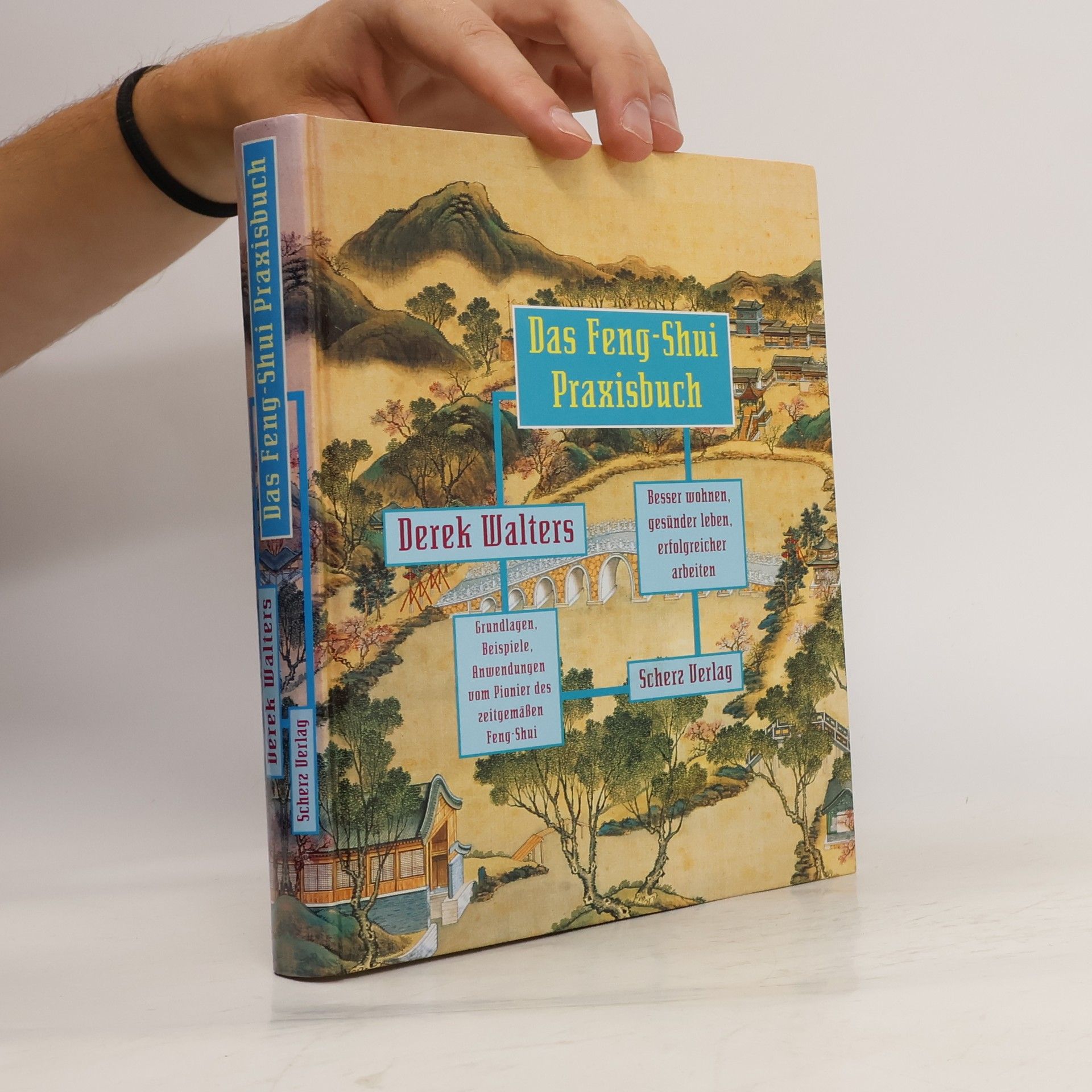 Derek Walters Das Feng-Shui-Praxisbuch