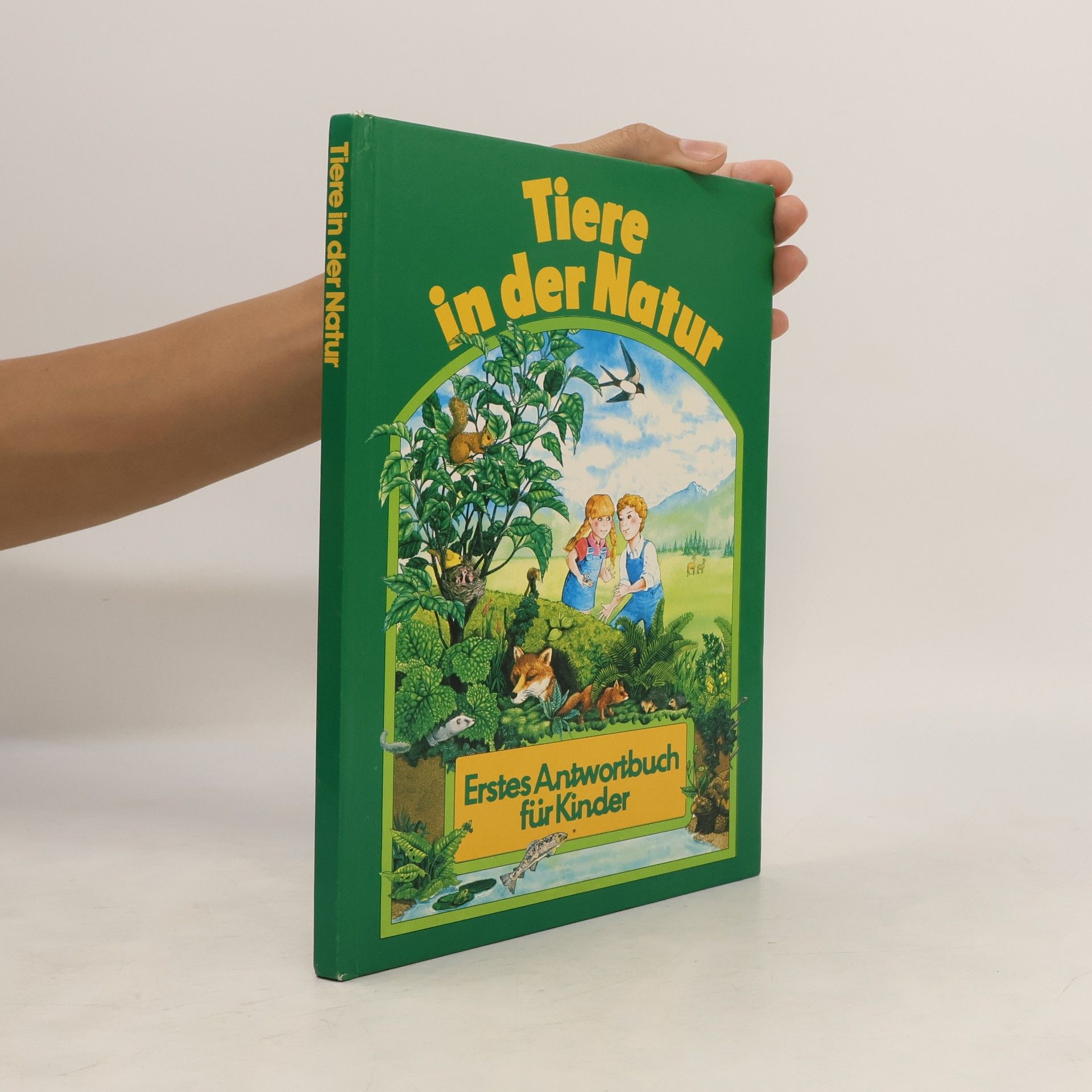 Autorenkollektiv Tiere in der Natur