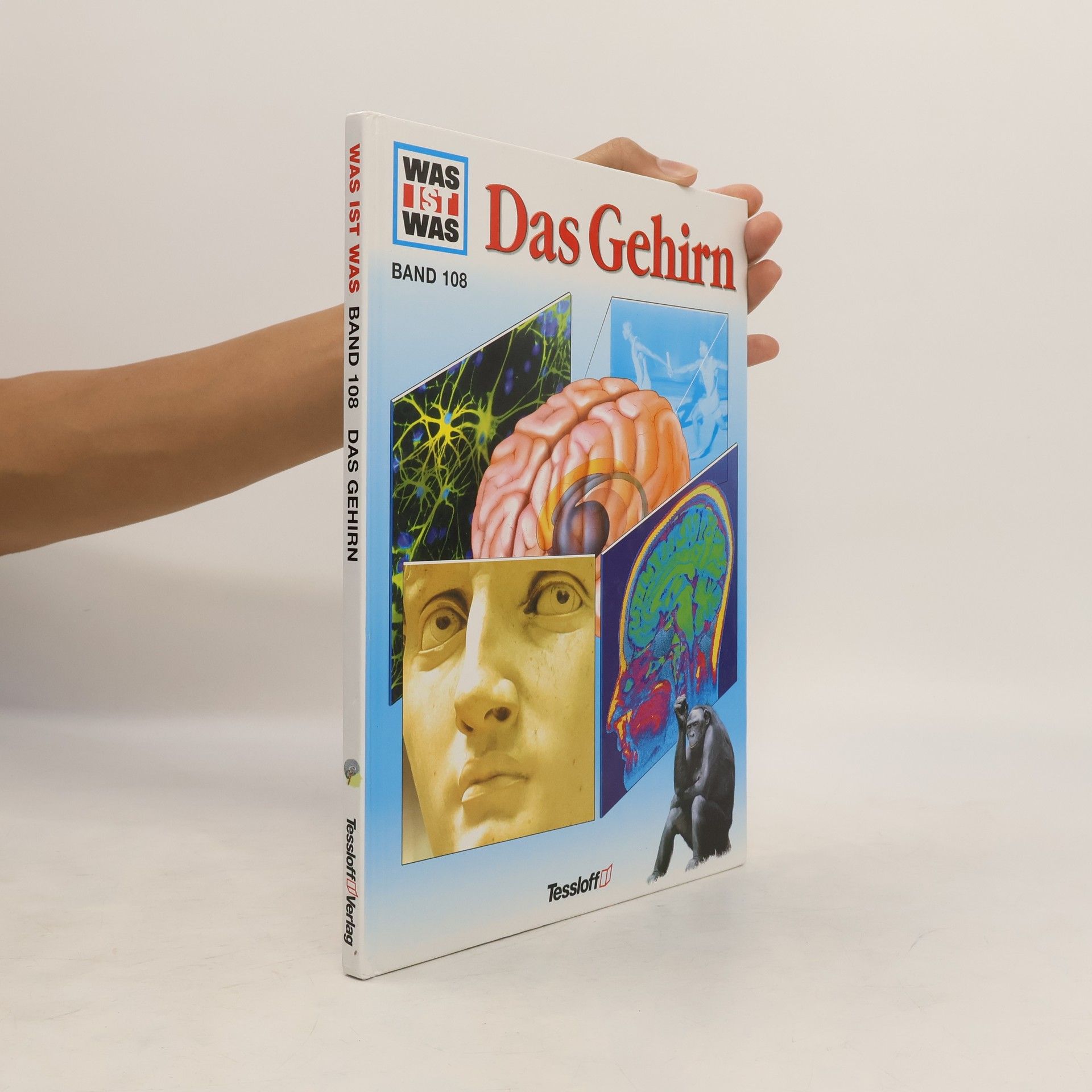 Monika Rößiger Das Gehirn