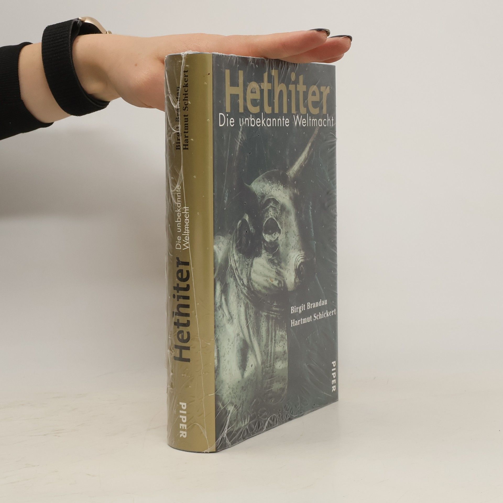 Birgit Brandau Hethiter