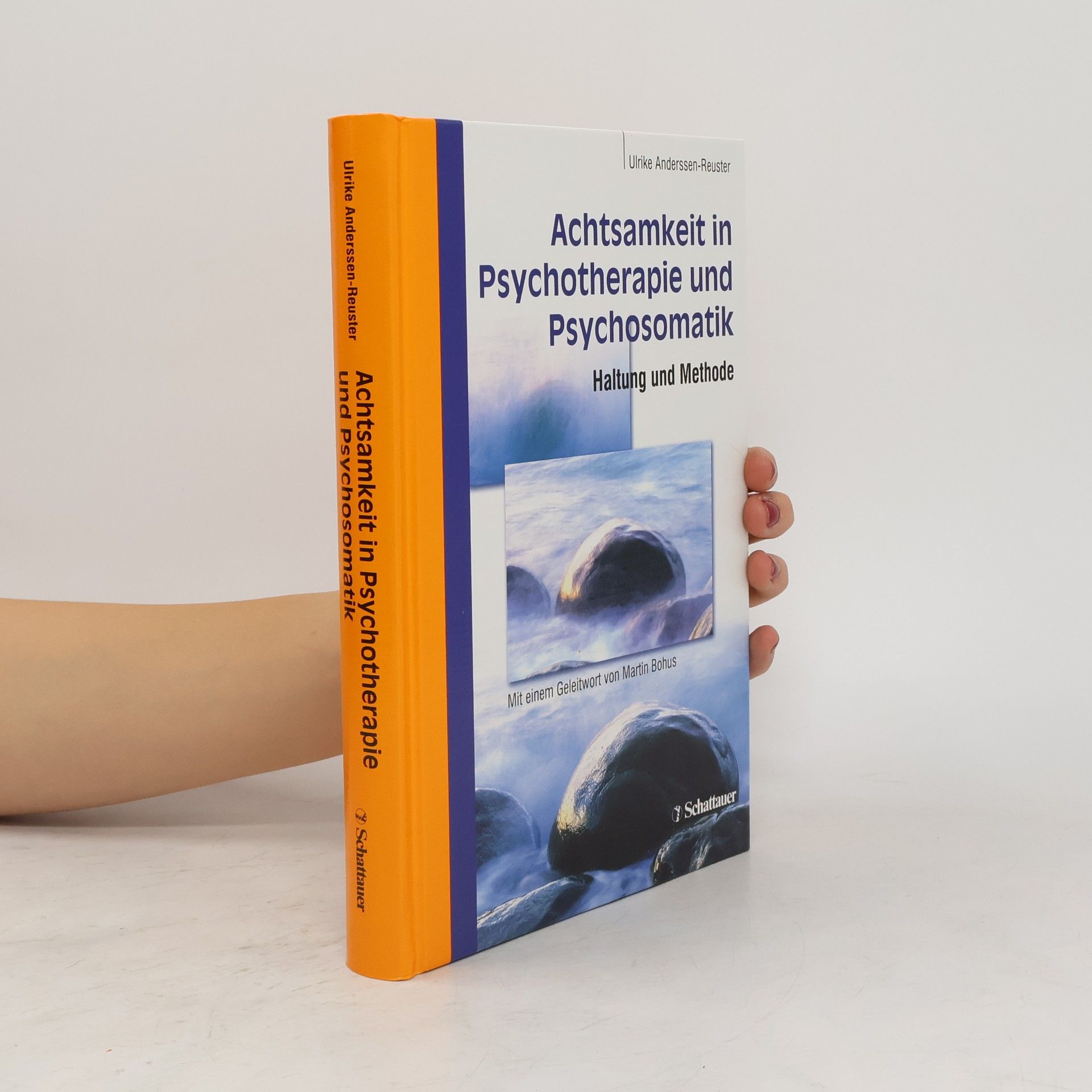 Ulrike Anderssen Reuster Achtsamkeit in Psychotherapie und Psychosomatik