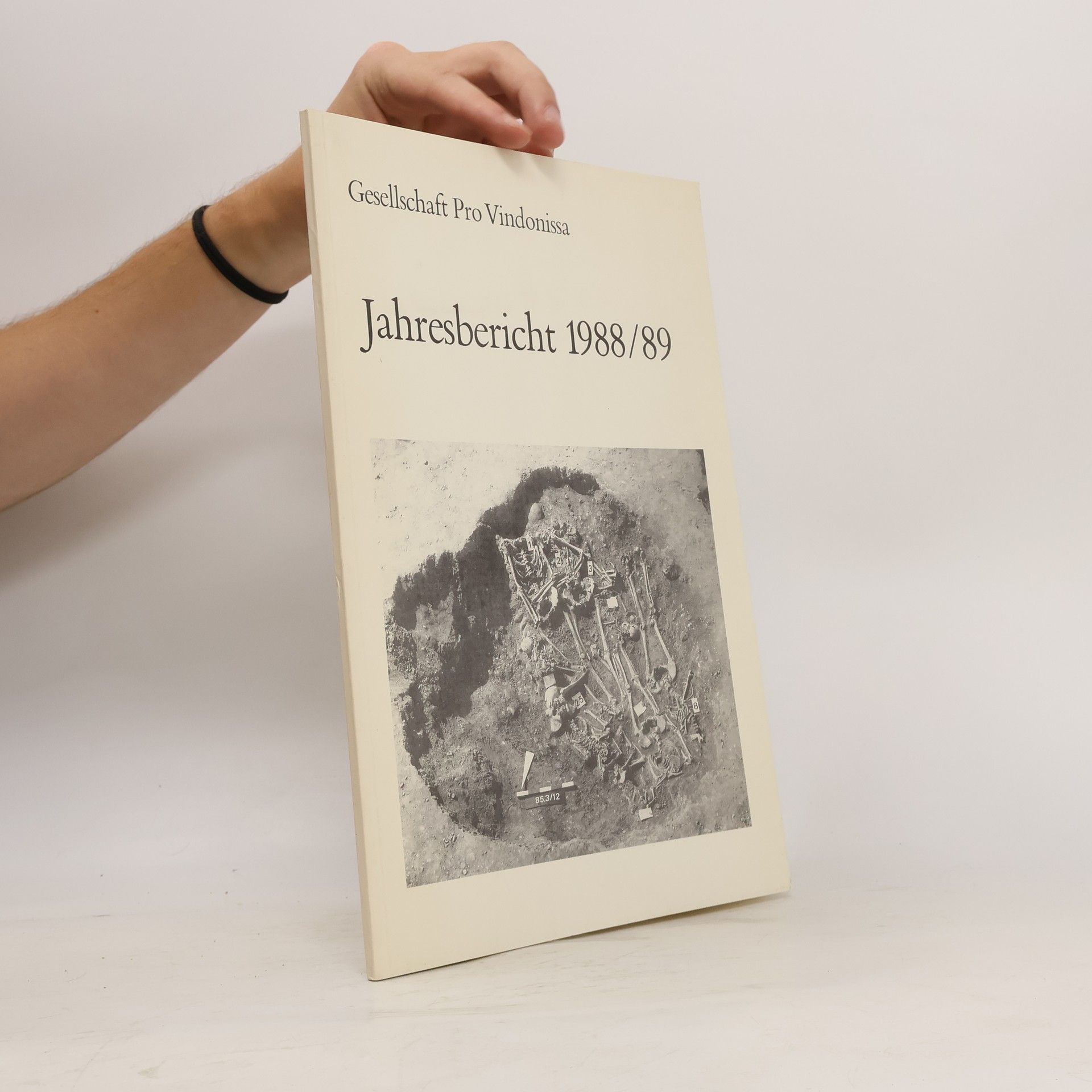 Autorenkollektiv Jahresbericht 1988/89