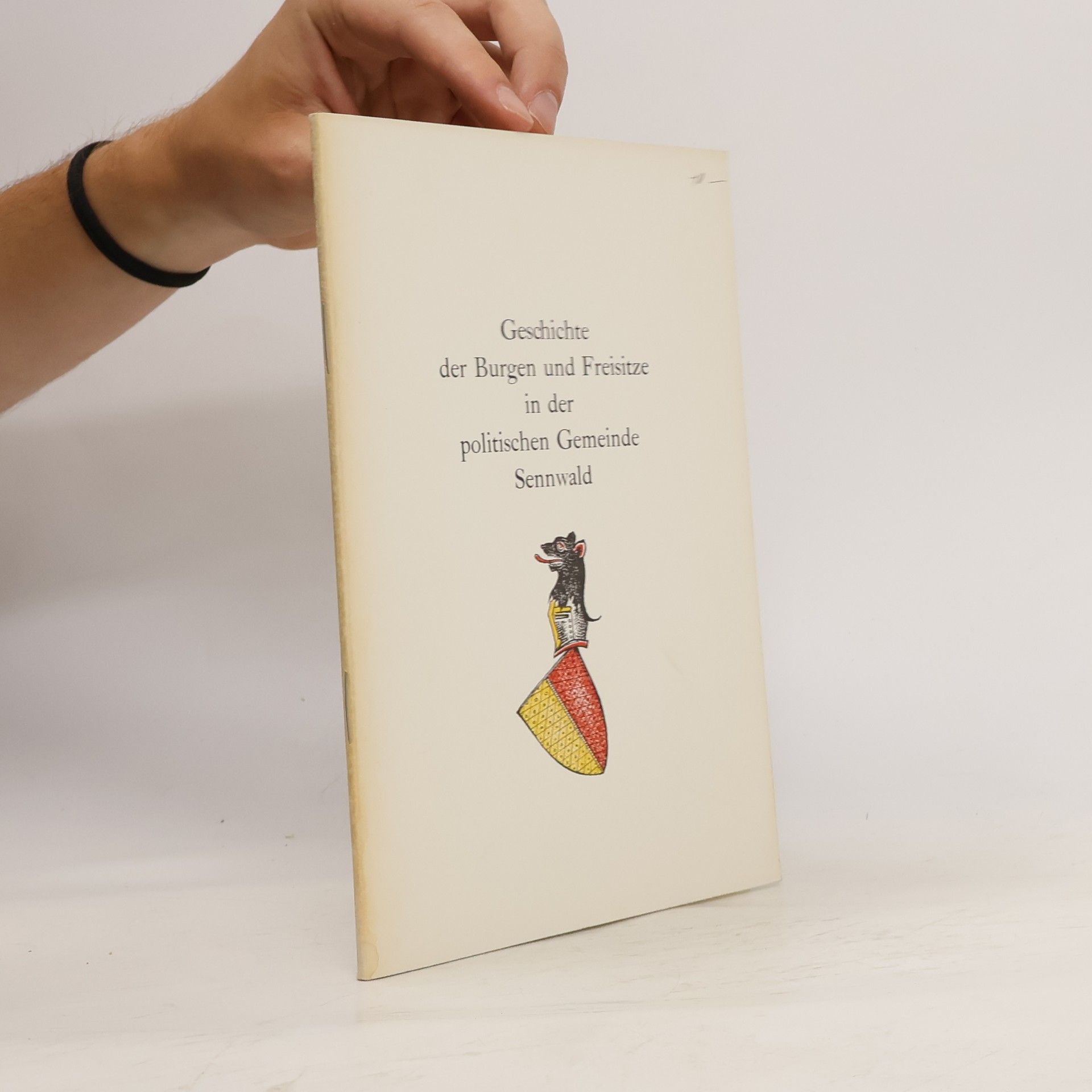 Paul Aebi Geschichte der Burgen und Freisitze