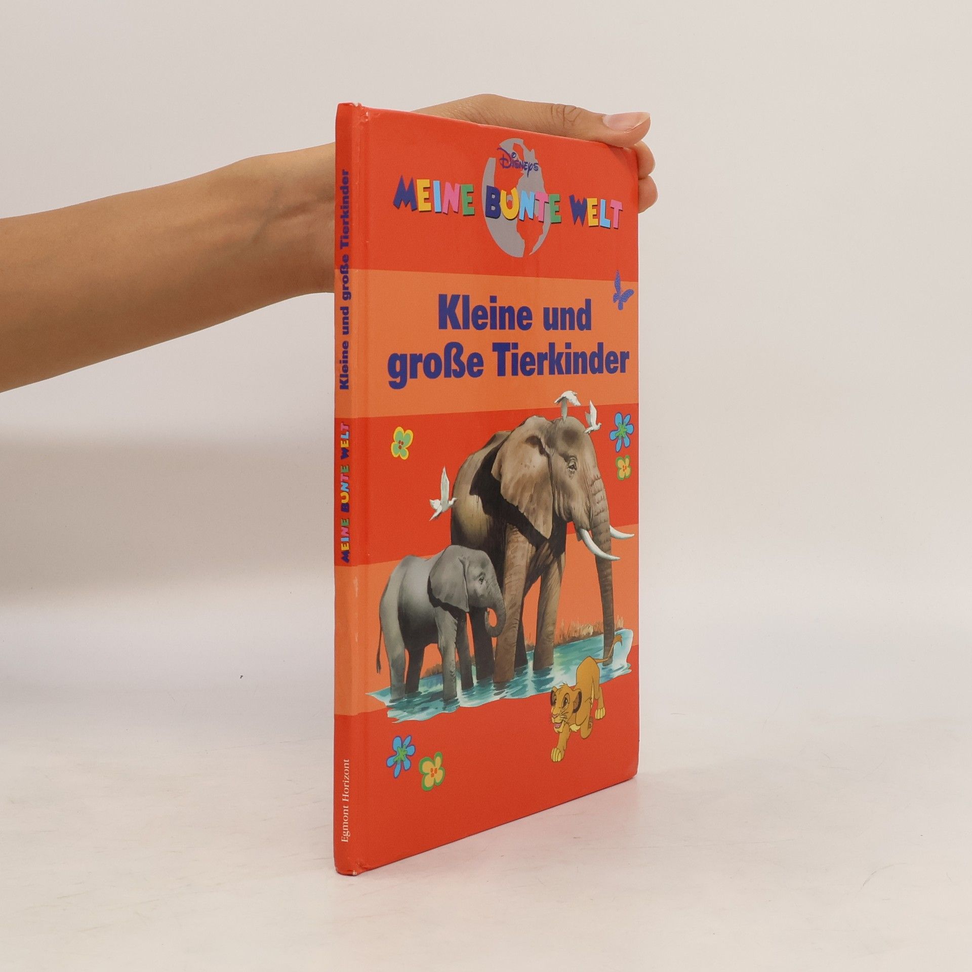 Collectif d'auteurs Meine bunte Welt: Kleine und große Tierkinder
