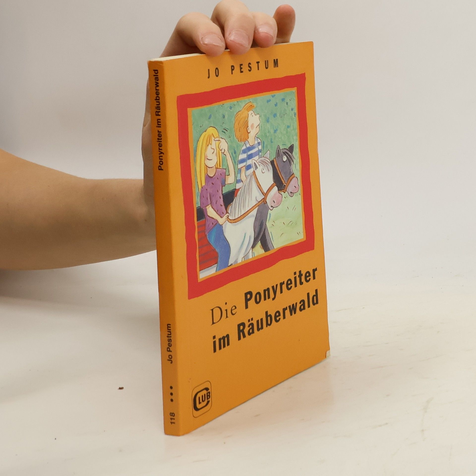 Jo Pestum Die Ponyreiter im Räuberwald