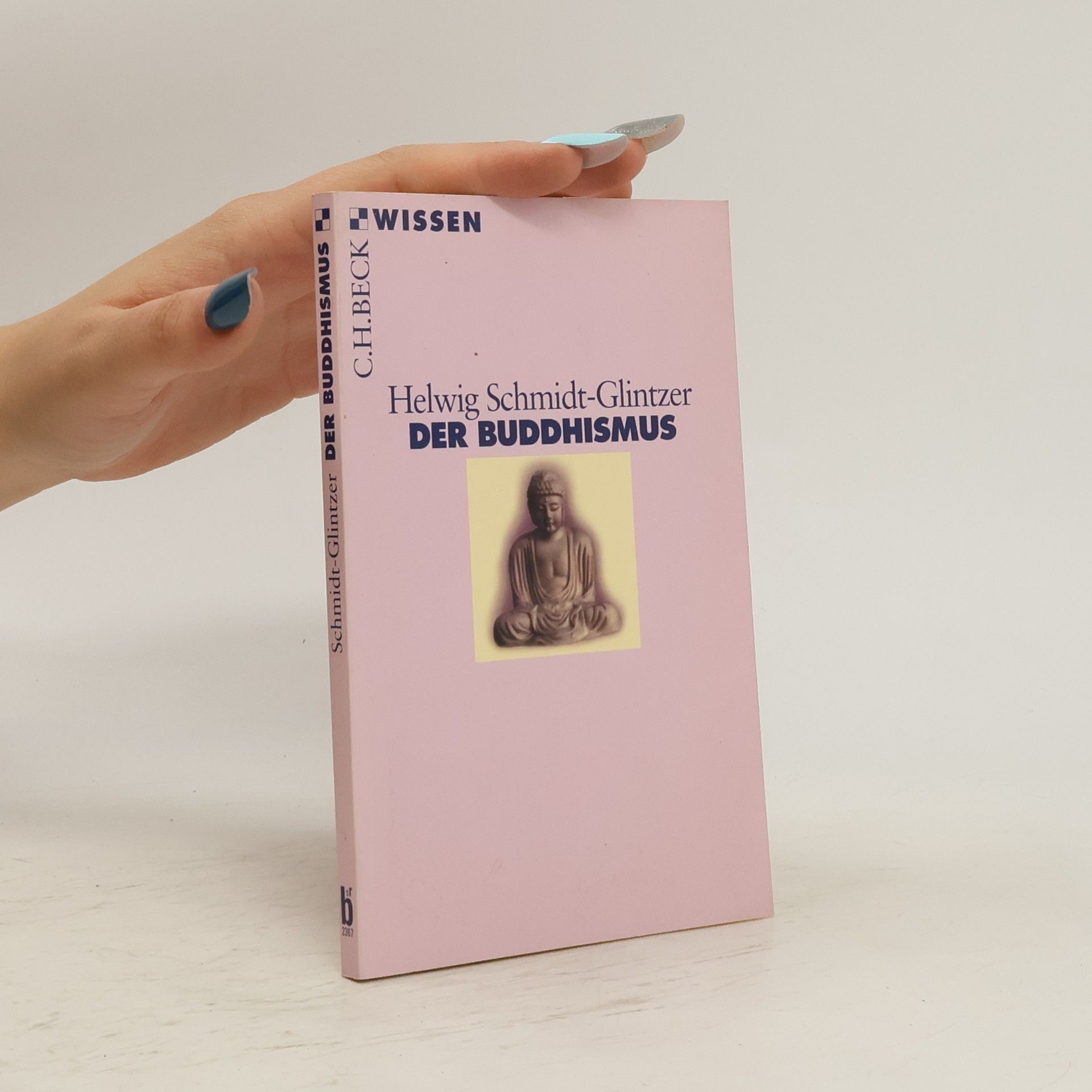 Helwig Schmidt-Glintzer Der Buddhismus