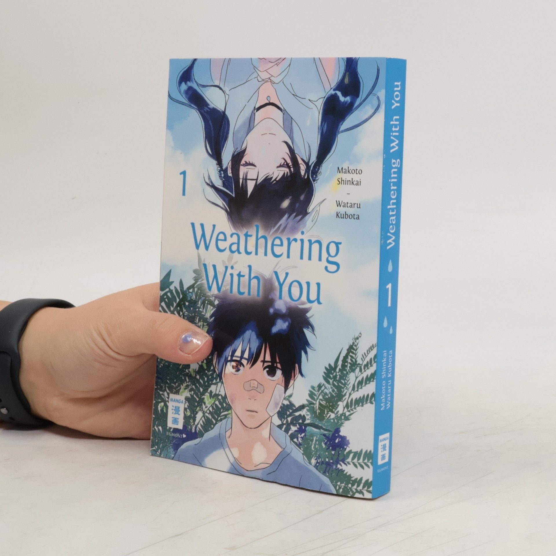 Makoto Shinkai Weathering With You