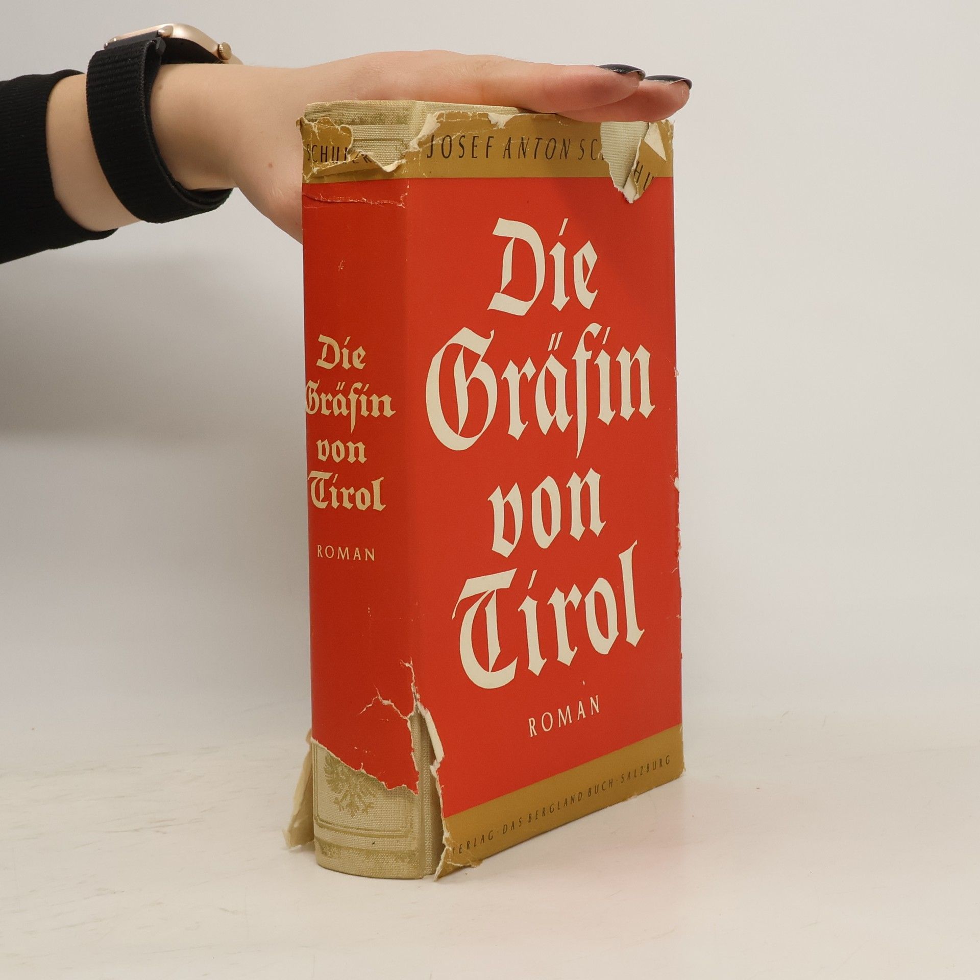 Josef Anton Schuler Die Gräfin von Tirol