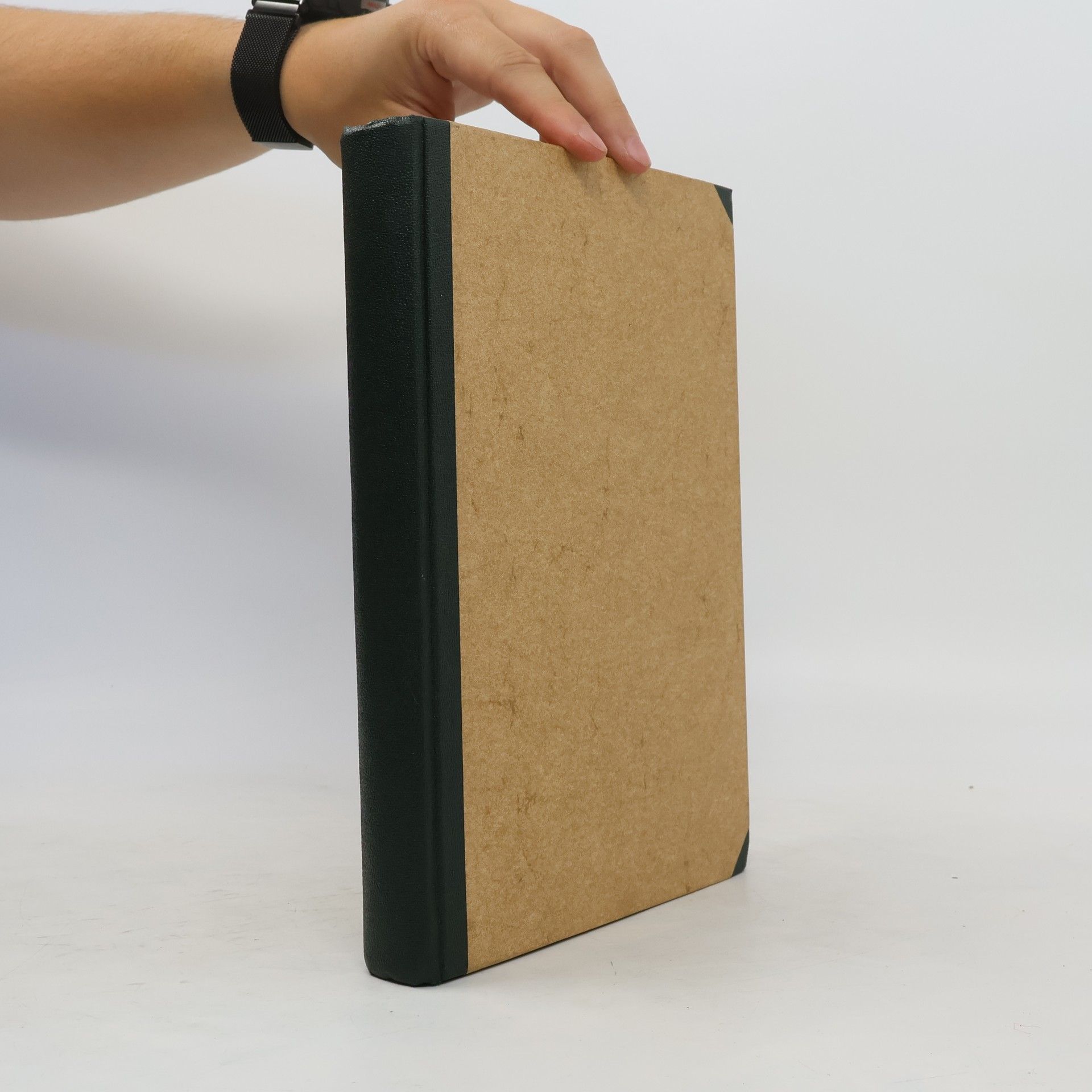 Collectif d'auteurs Das Verhalten der Tschechen im Weltkrieg