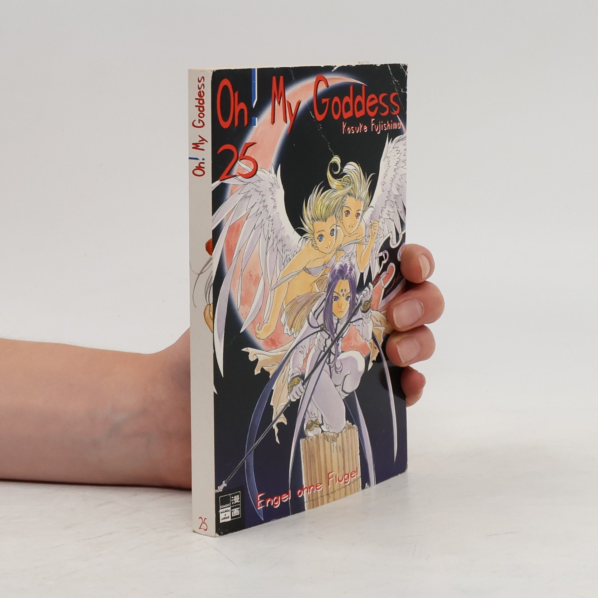 Kōsuke Fujishima Oh! My Goddess 25