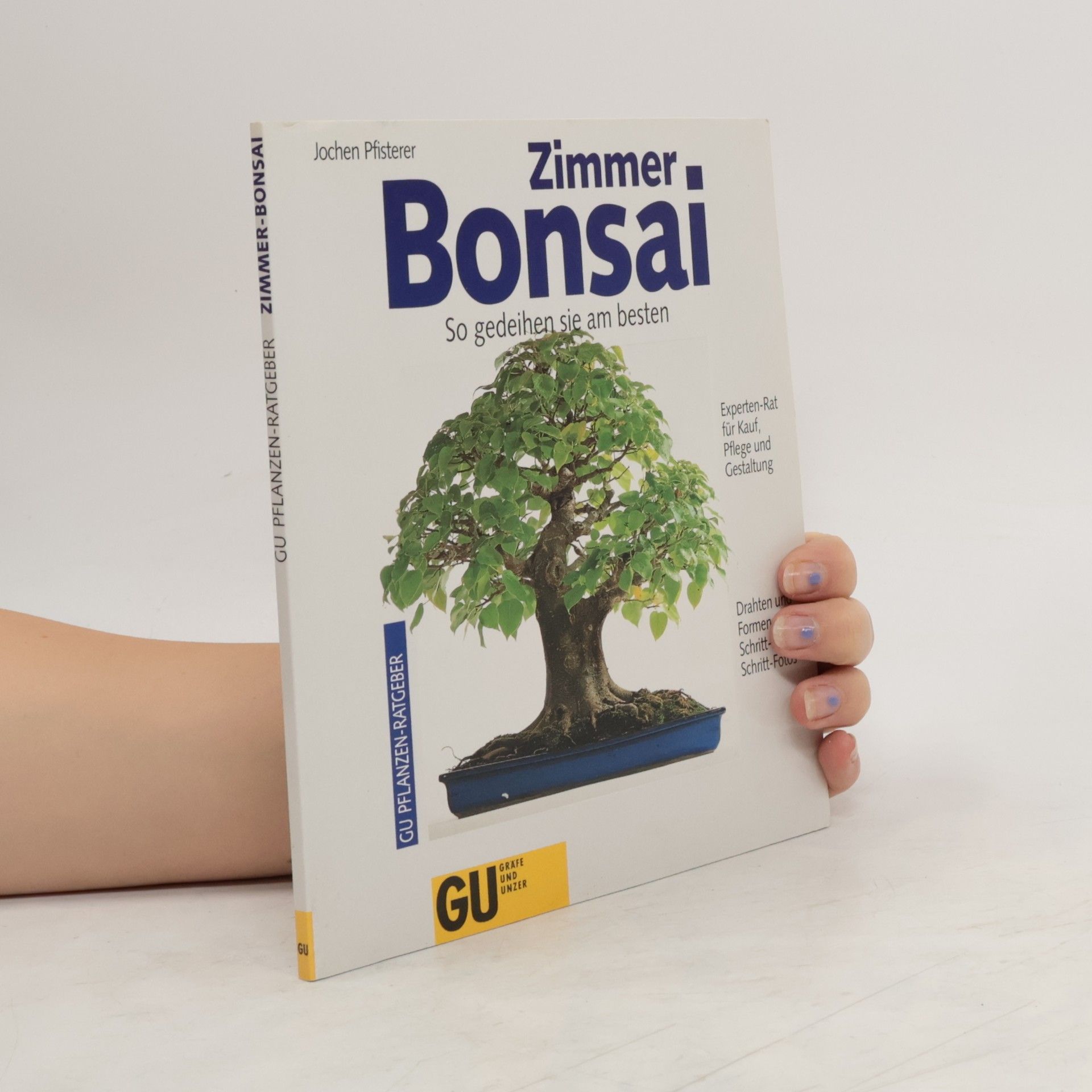 Jochen Pfisterer Zimmer-Bonsai