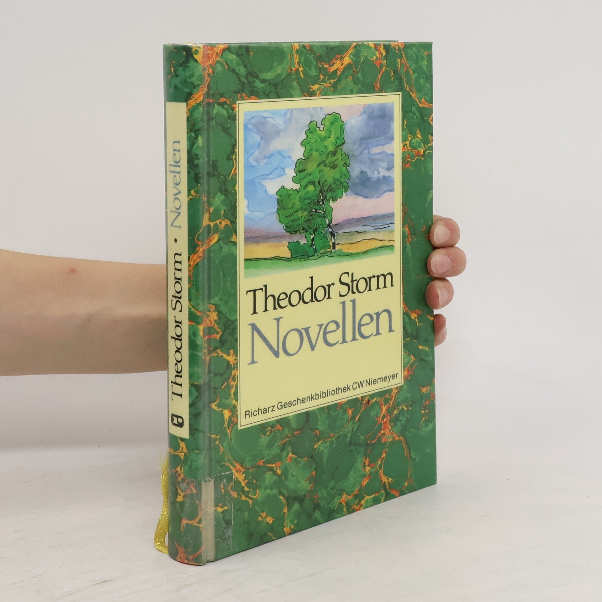 Theodor Storm Novellen,