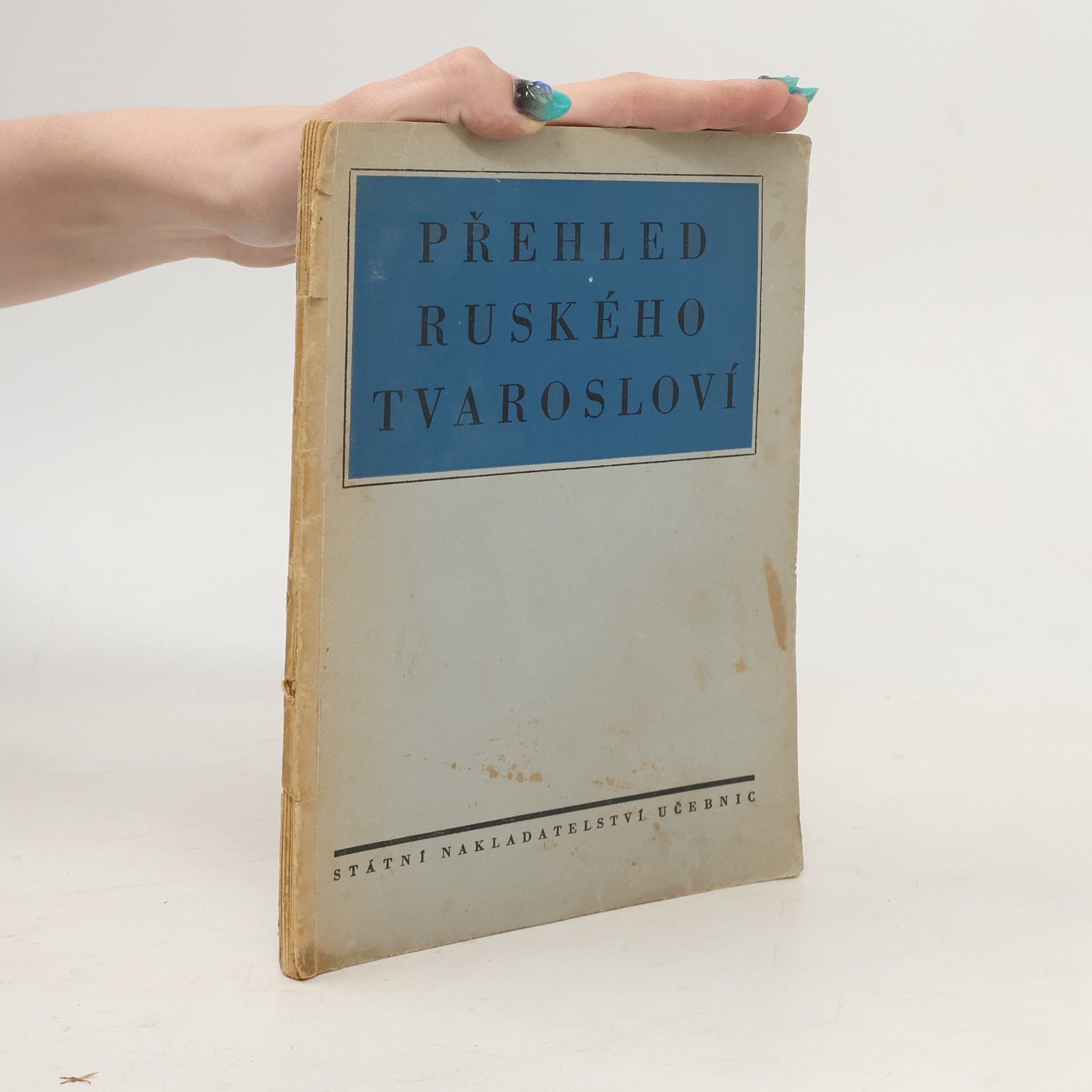 Collectif d'auteurs Přehled ruského tvarosloví