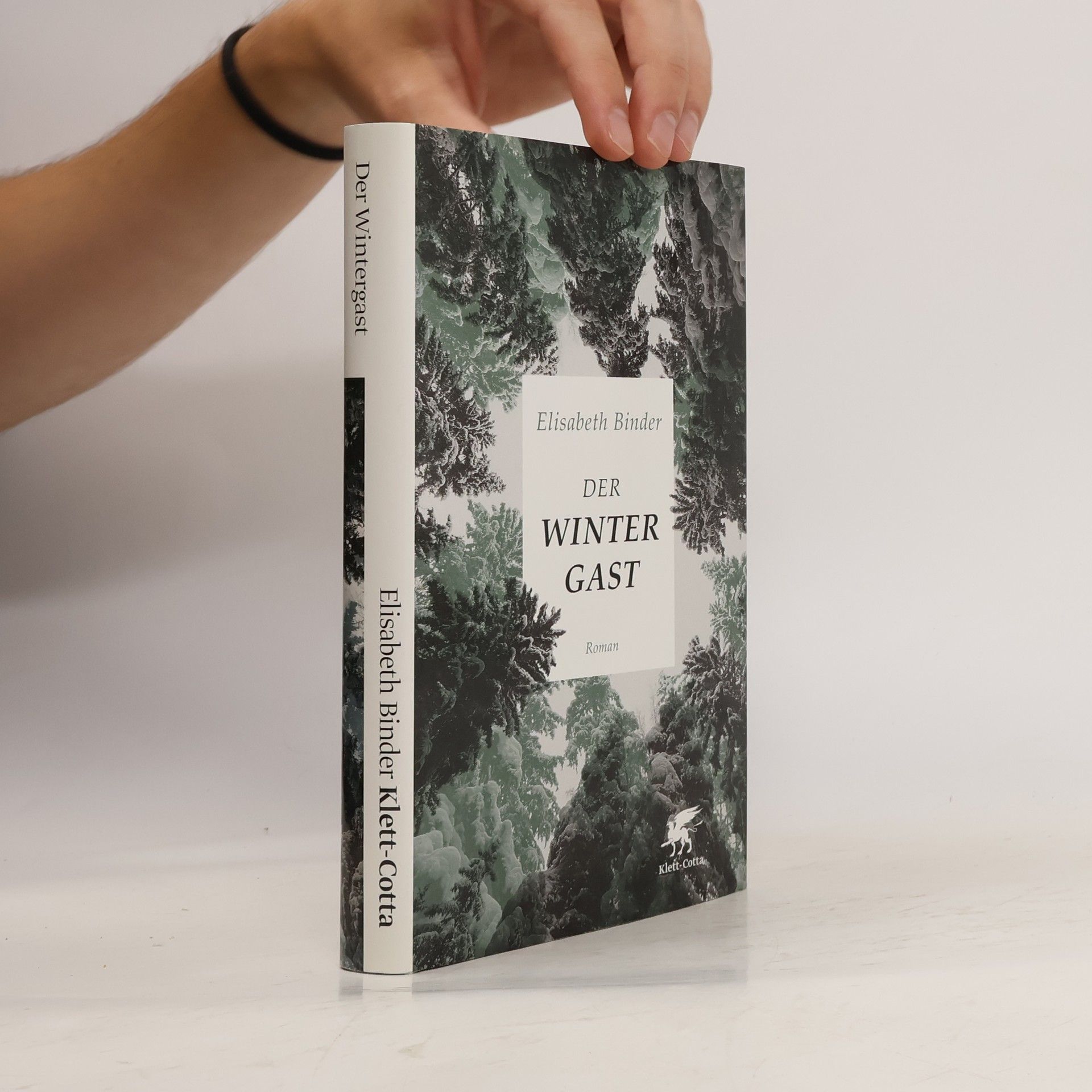 Elisabeth Binder-Etter Der Wintergast