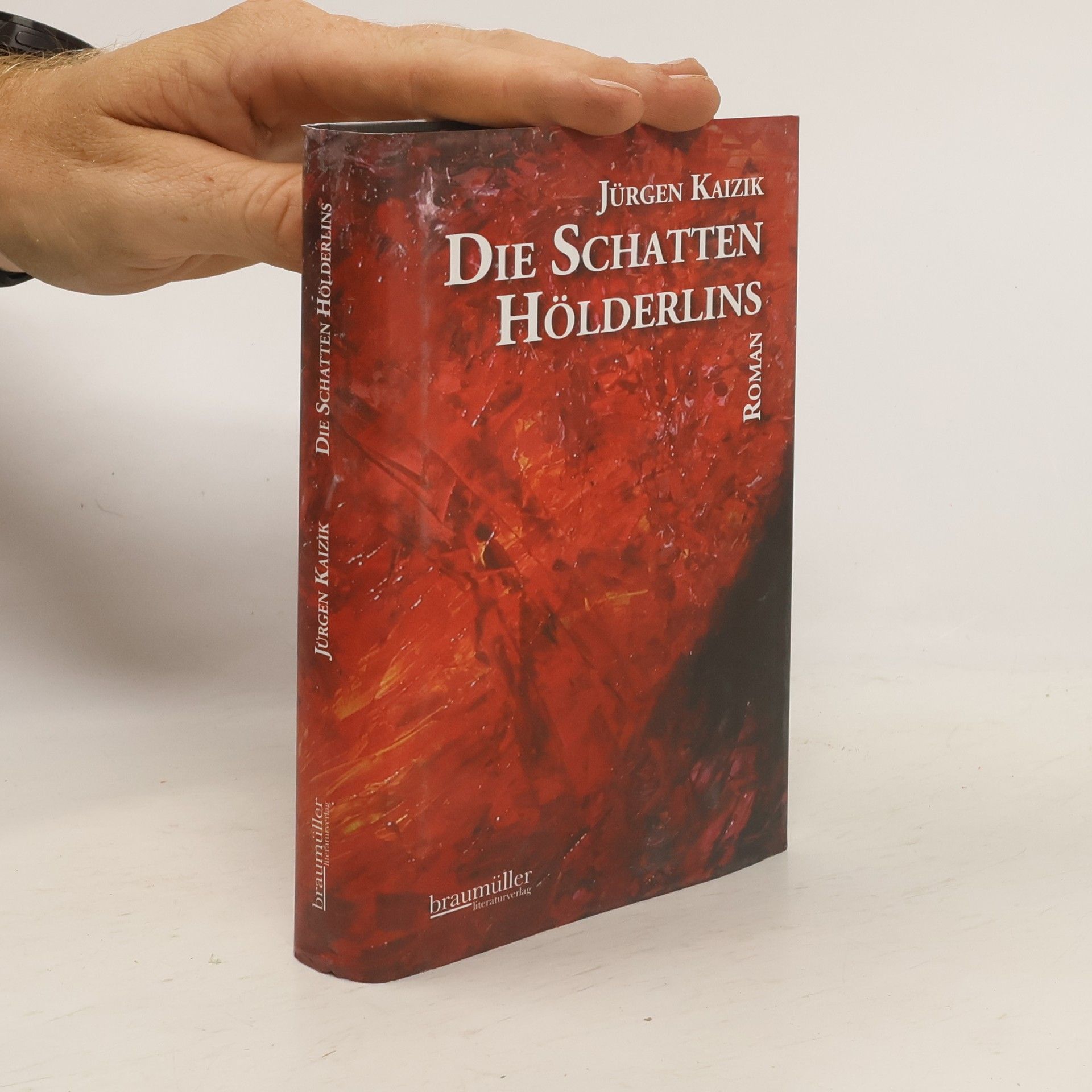 Jürgen Kaizik Die Schatten Hölderlins