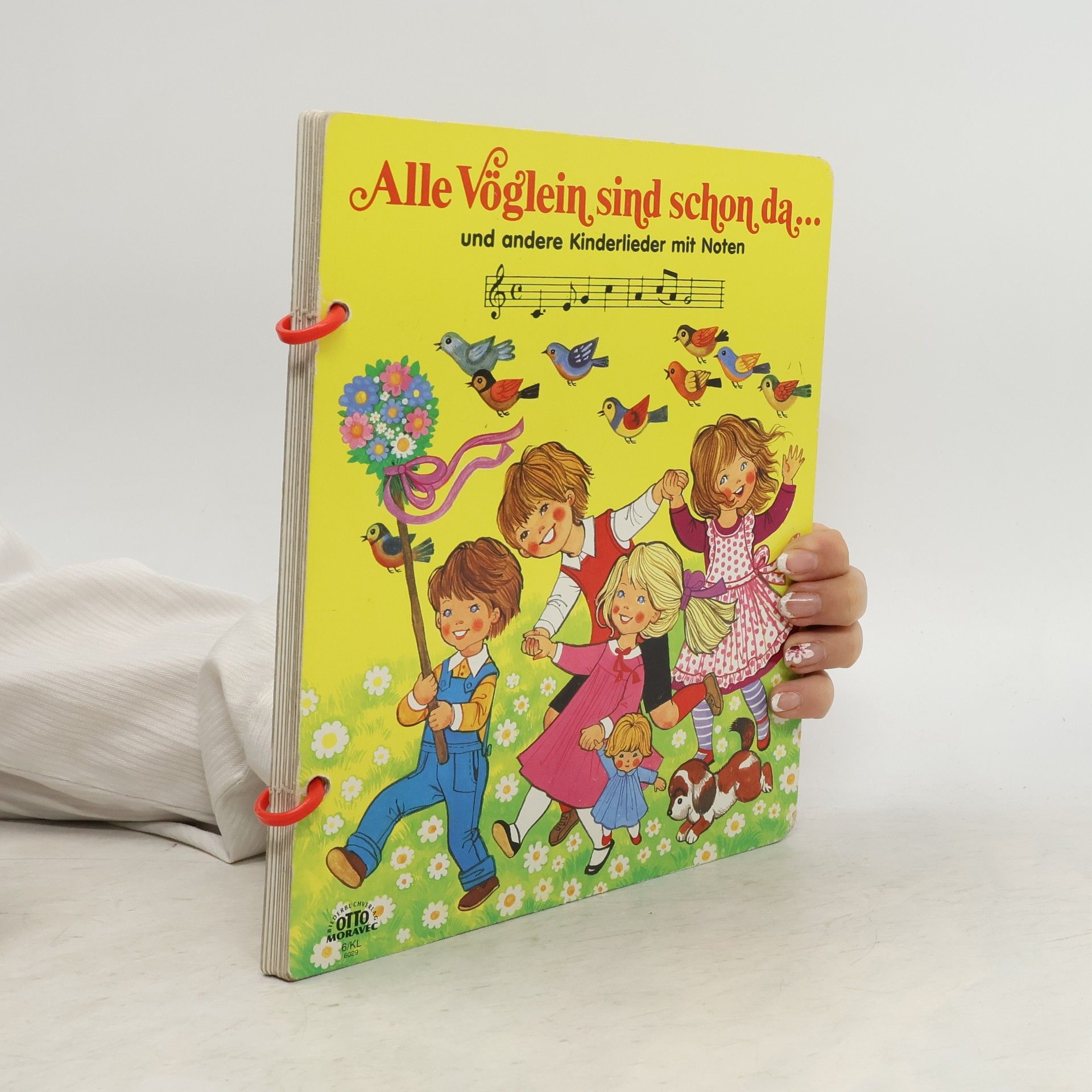 Autorenkollektiv Alle Vöglein sind schon da. Und andere Kinderleider mit Noten