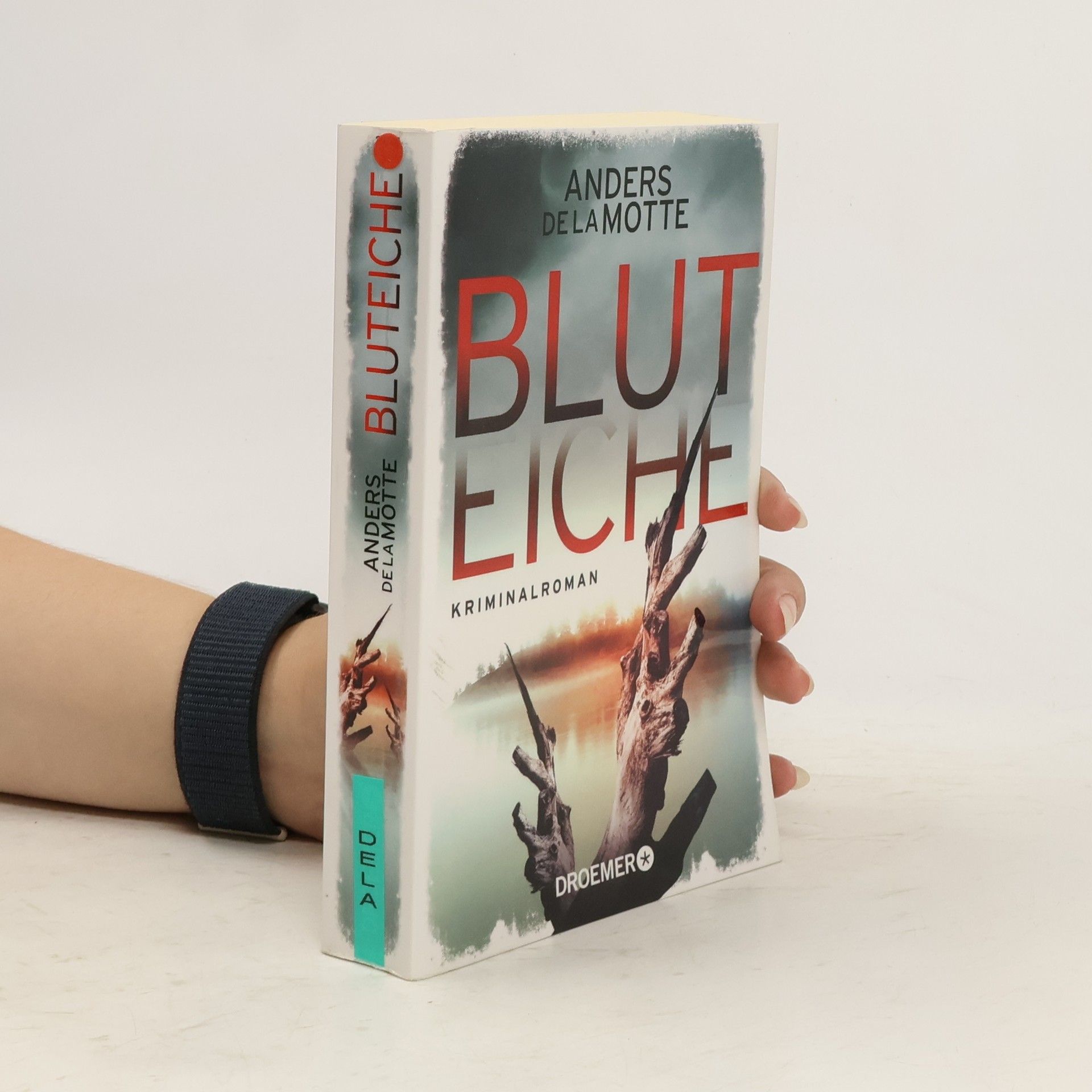 Anders De la Motte Bluteiche