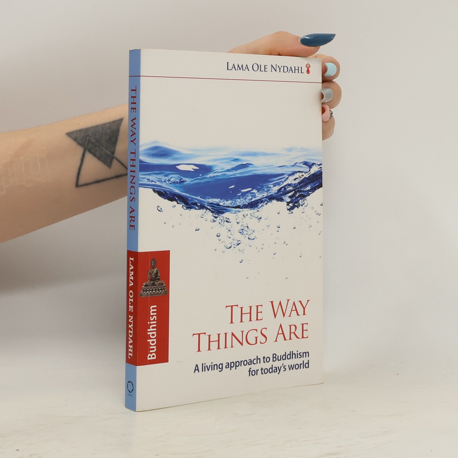 Lama Ole Nydahl The Way Things Are