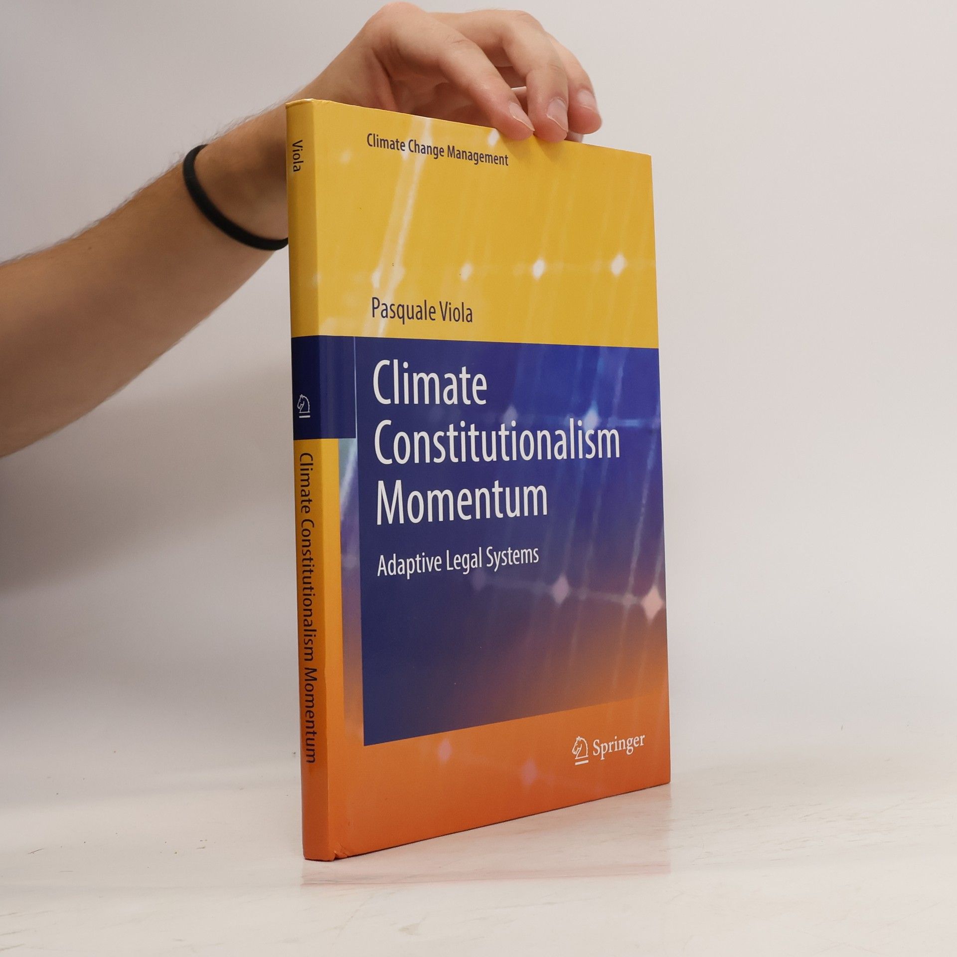 Pasquale Viola Climate Constitutionalism Momentum