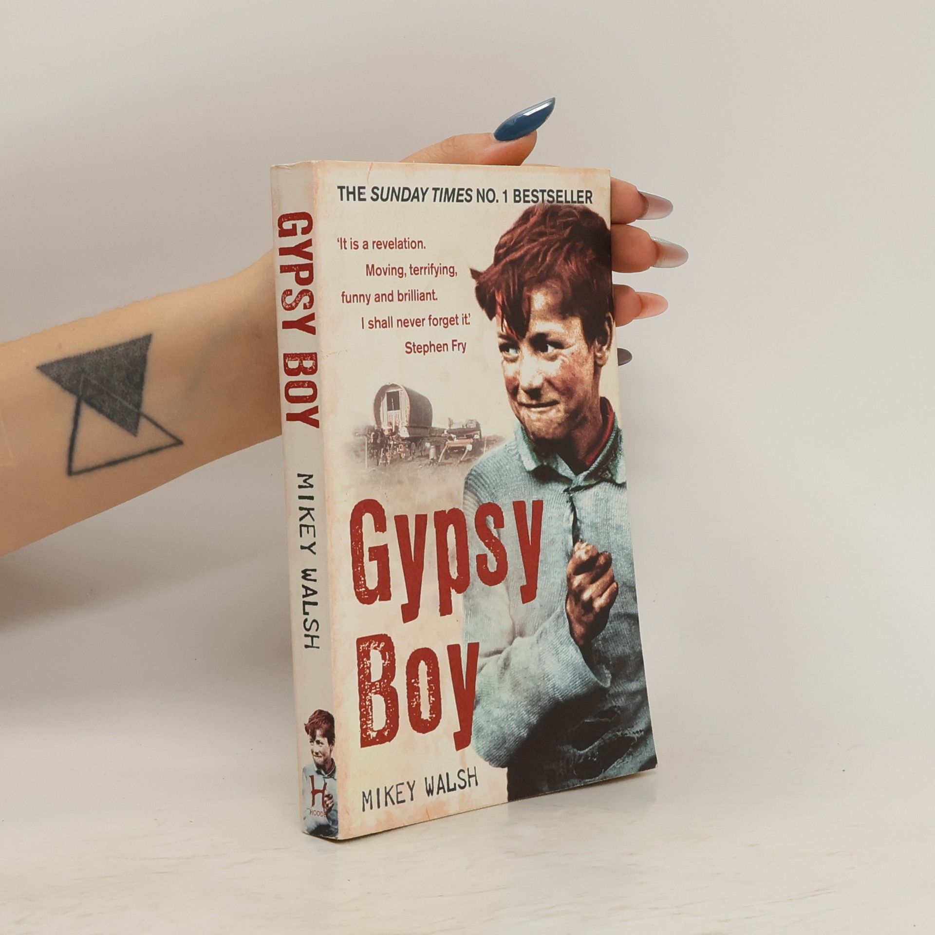 Mikey Walsh Gypsy Boy