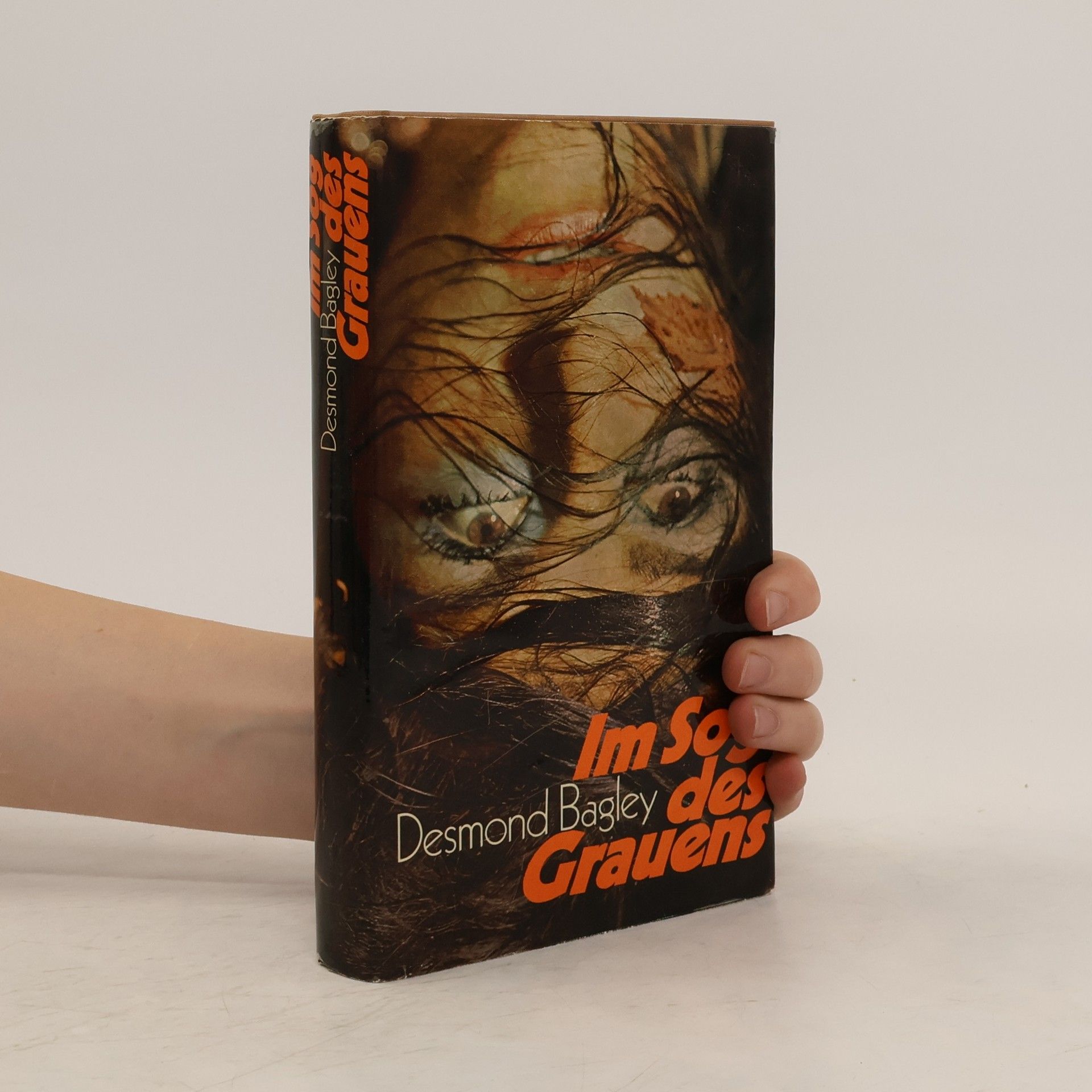 Desmond Bagley Im Sog des Grauens