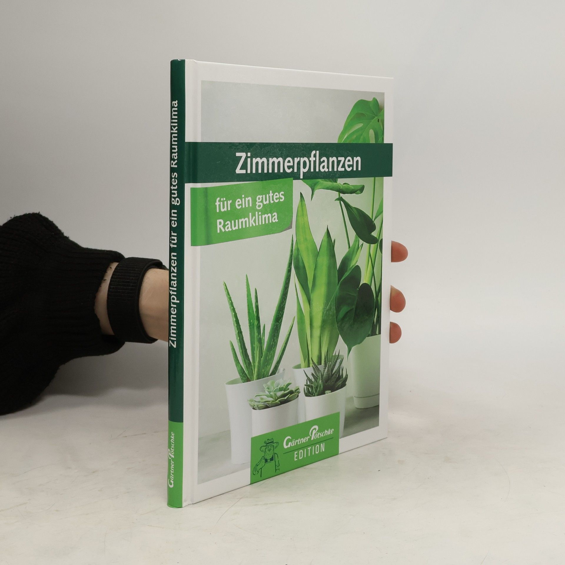 Zimmerpflanzen für ein gutes Raumklima