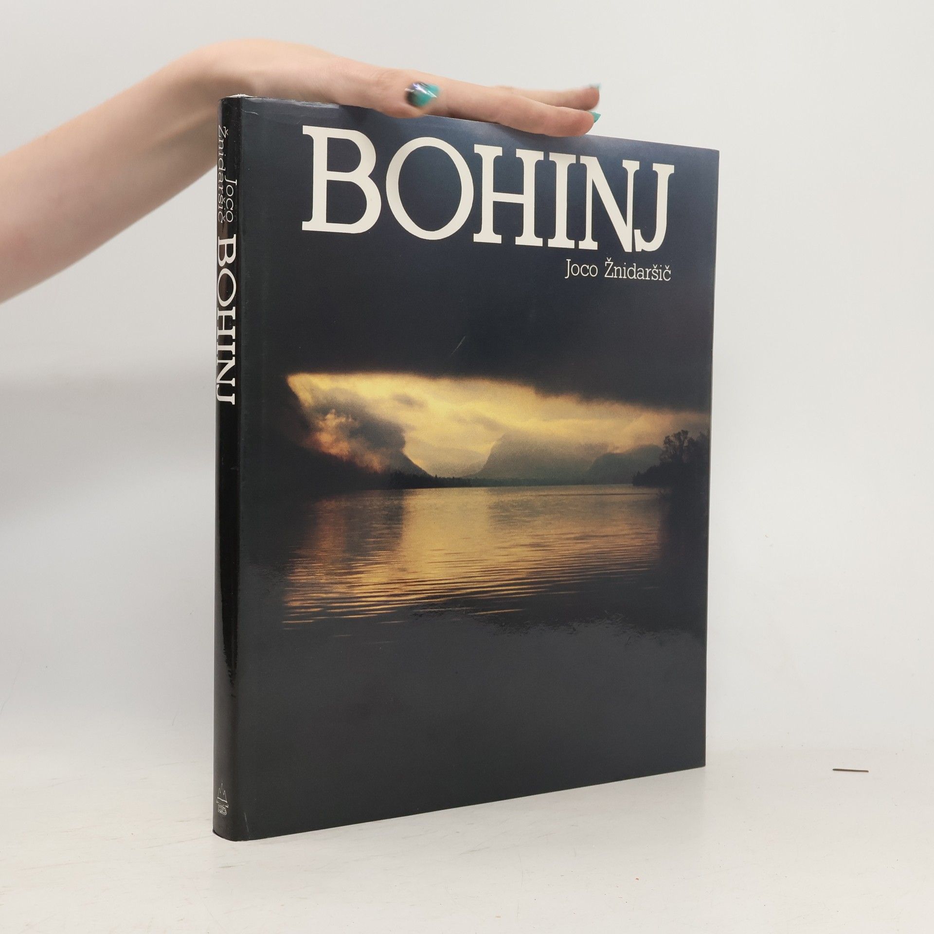 Joco Žnidaršič Bohinj