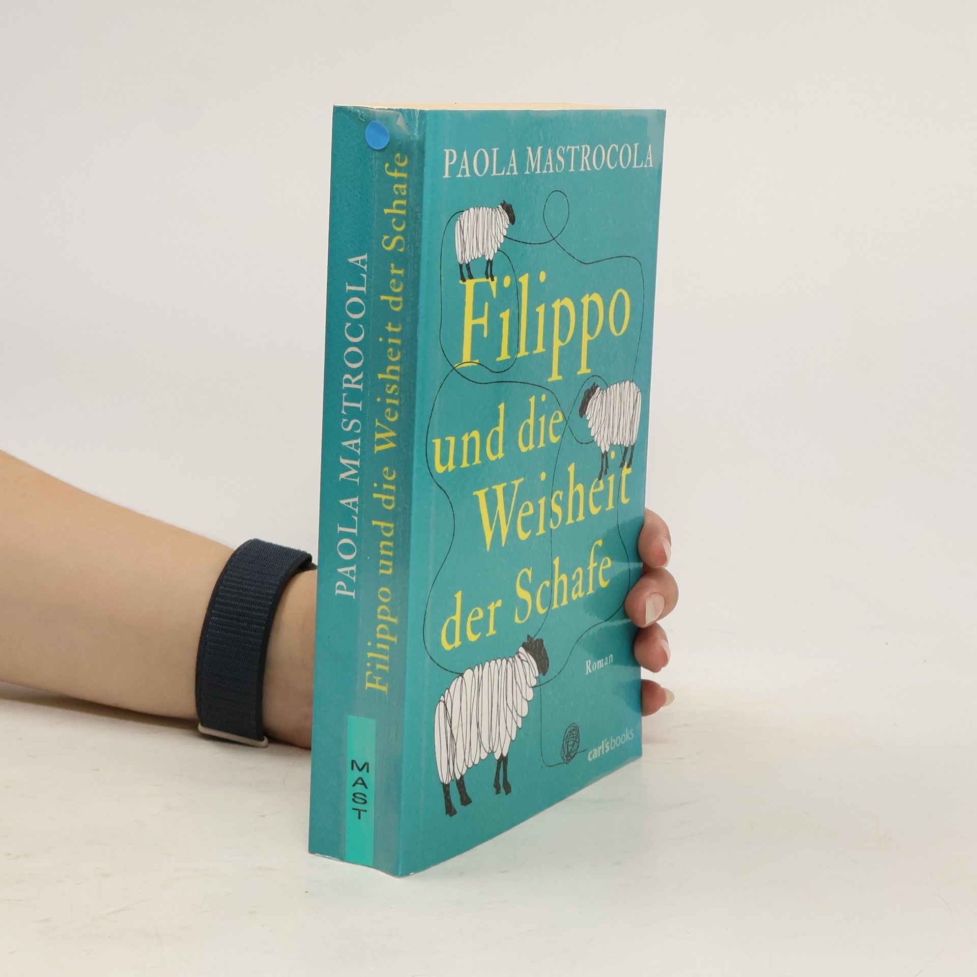 Paola Mastrocola Filippo und die Weisheit der Schafe