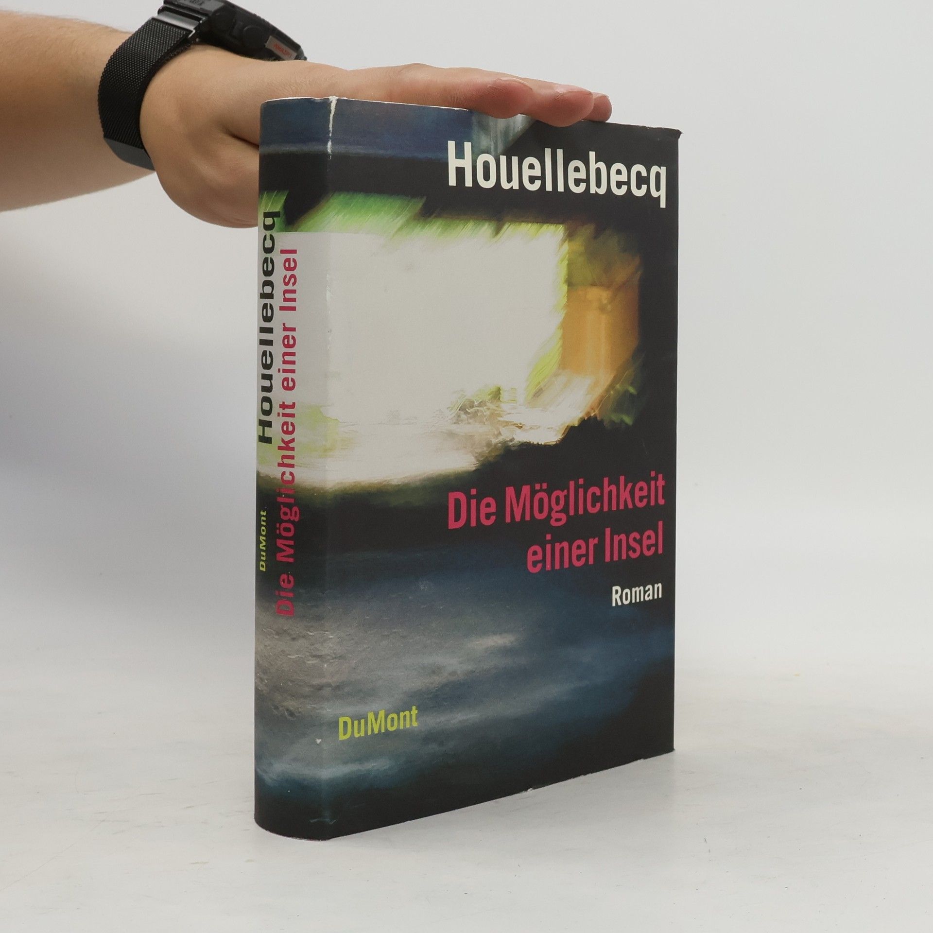 Michel Houellebecq Die Möglichkeit einer Insel