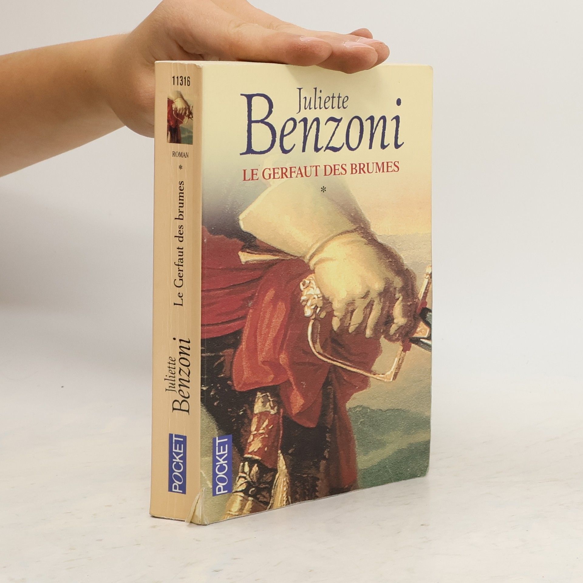Juliette Benzoniová Le Gerfaut des brumes