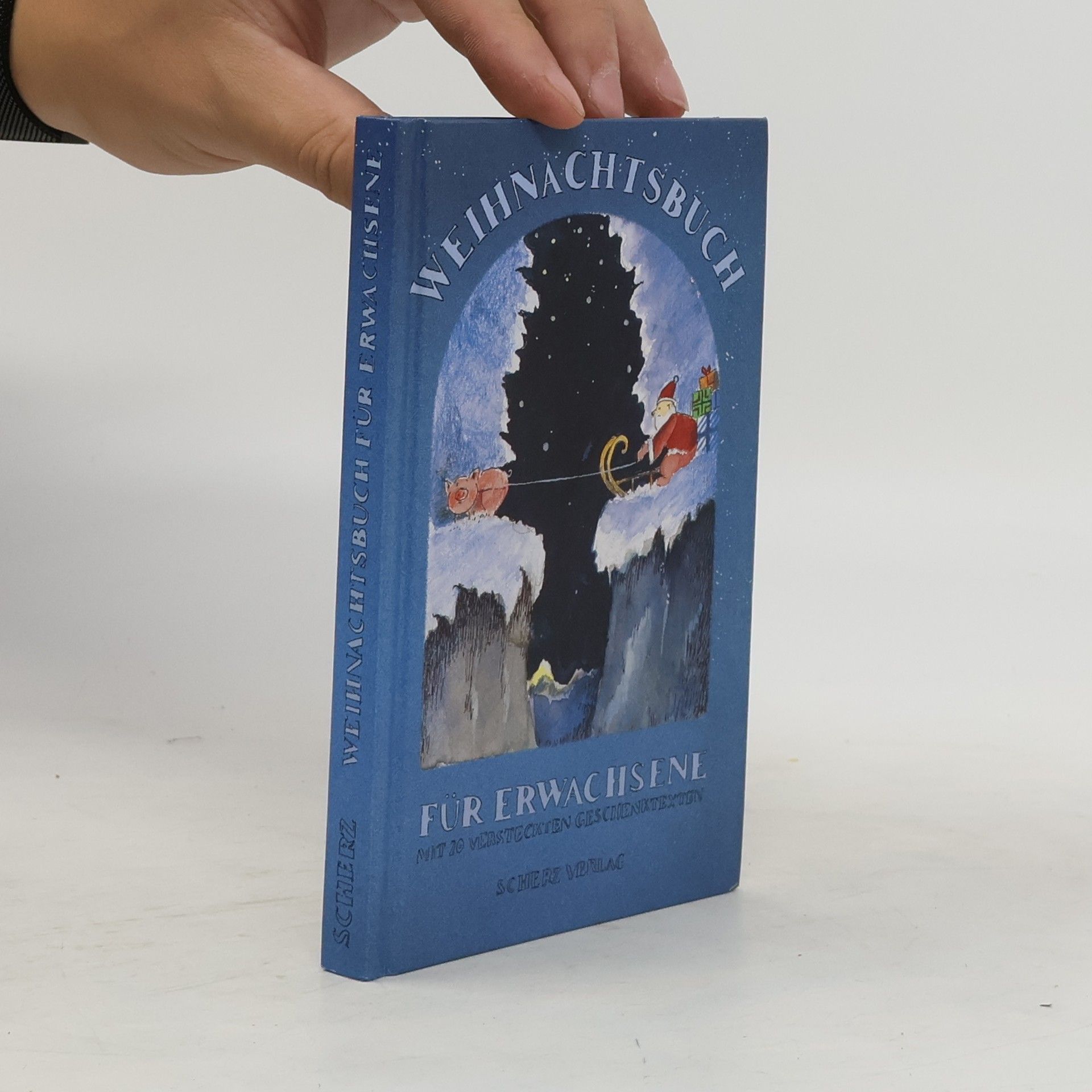 Axel Frohn Weihnachtsbuch für Erwachsene