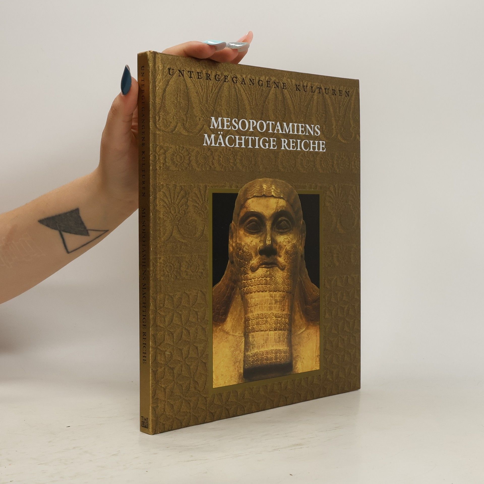 Auteurscollectief Mesopotamiens mächtige Reiche