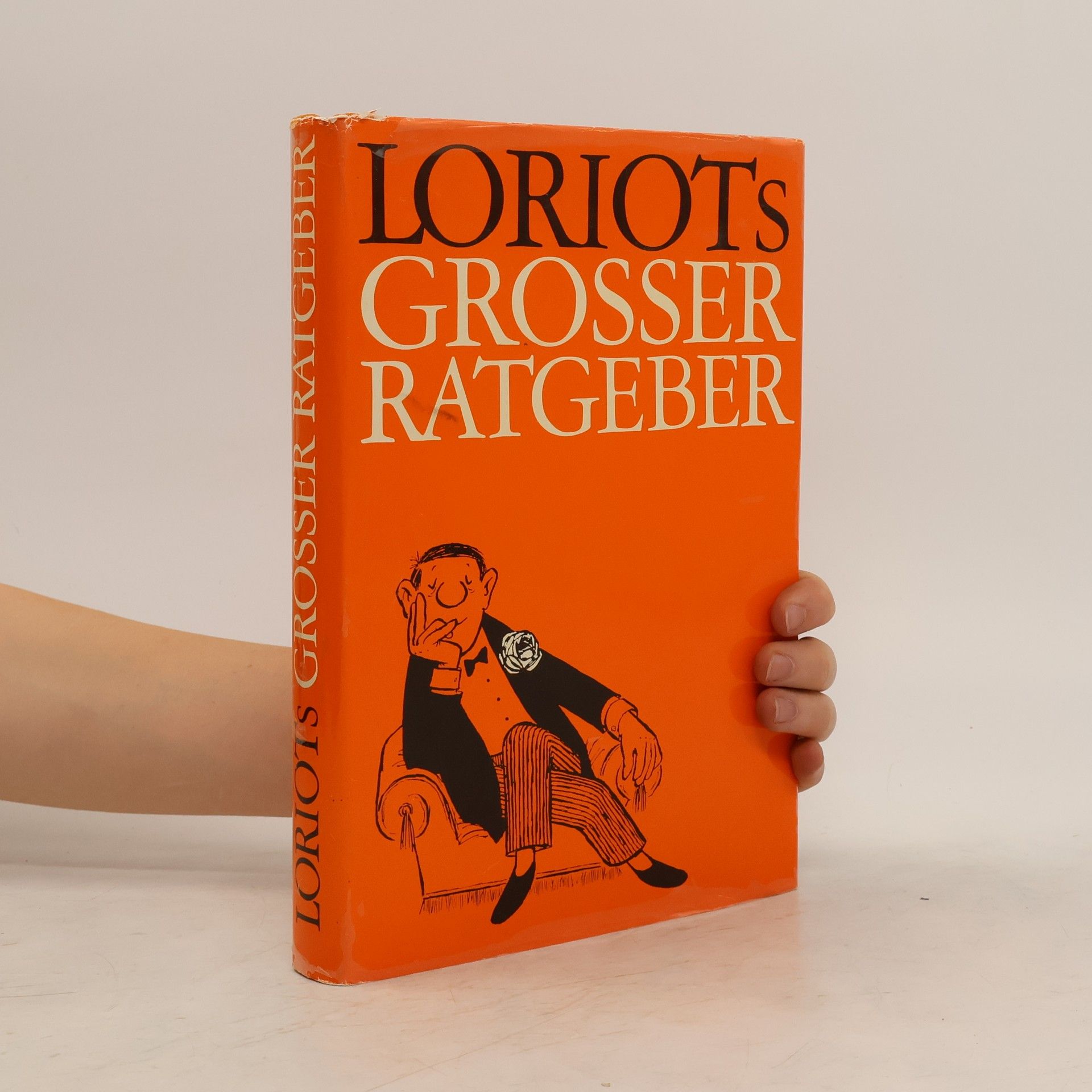 Loriot Loriots grosser Ratgeber