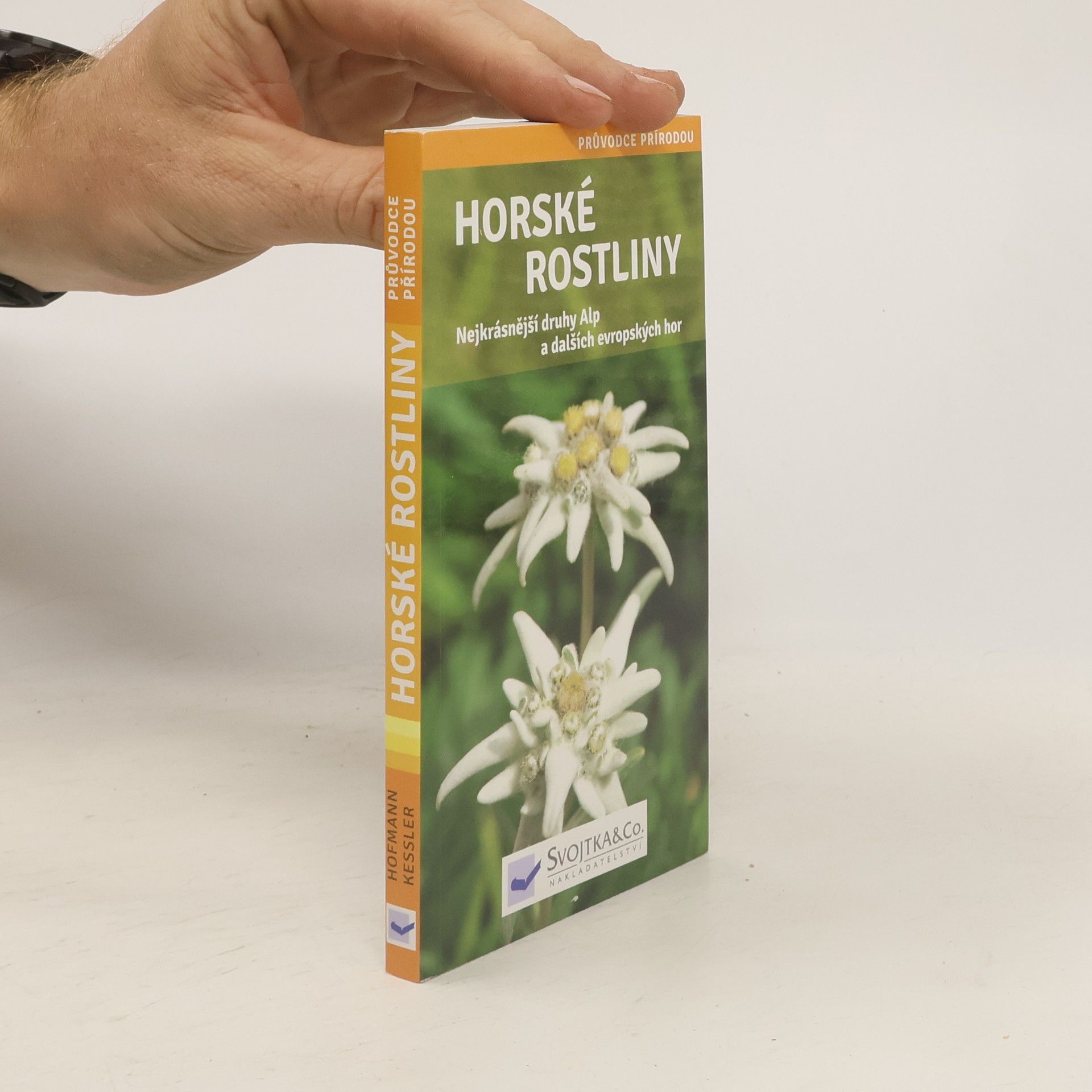 Helga Hofmann-Sieber Horské rostliny
